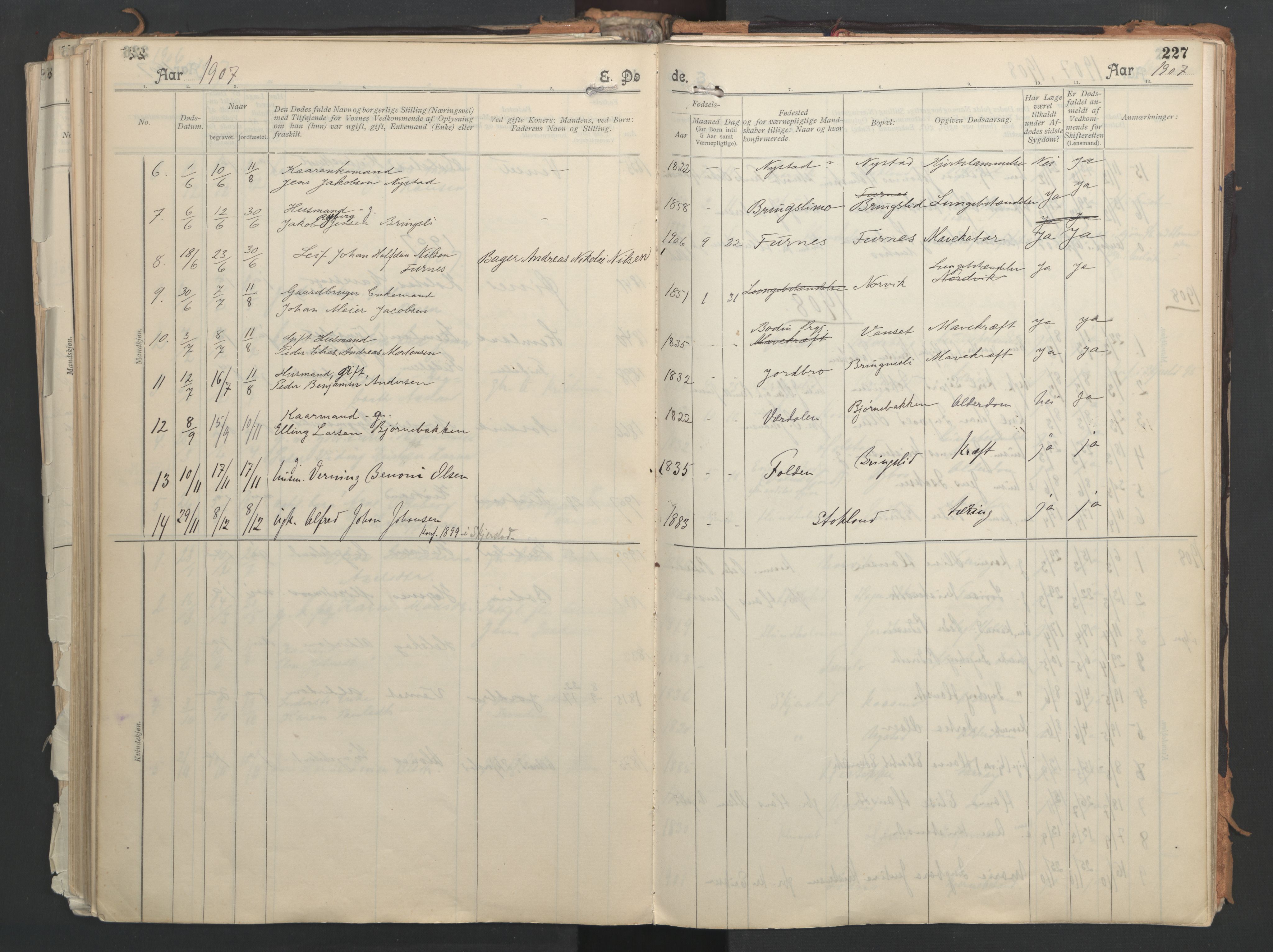 Ministerialprotokoller, klokkerbøker og fødselsregistre - Nordland, AV/SAT-A-1459/851/L0724: Parish register (official) no. 851A01, 1901-1922, p. 227