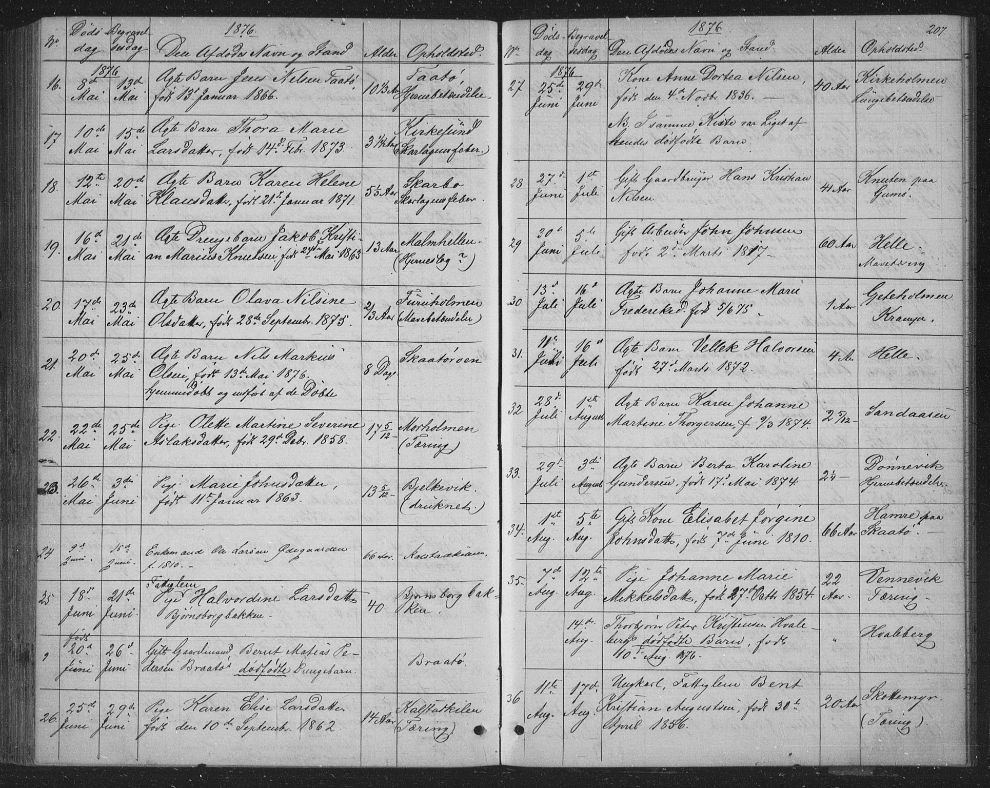 Skåtøy kirkebøker, SAKO/A-304/G/Ga/L0002: Parish register (copy) no. I 2, 1872-1884, p. 207