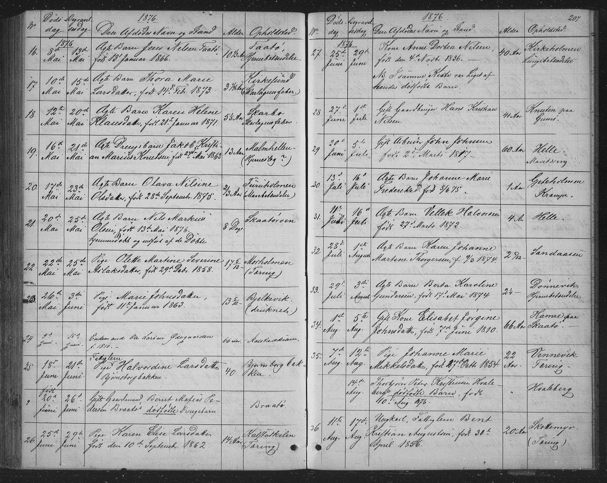 Skåtøy kirkebøker, AV/SAKO-A-304/G/Ga/L0002: Parish register (copy) no. I 2, 1872-1884, p. 207