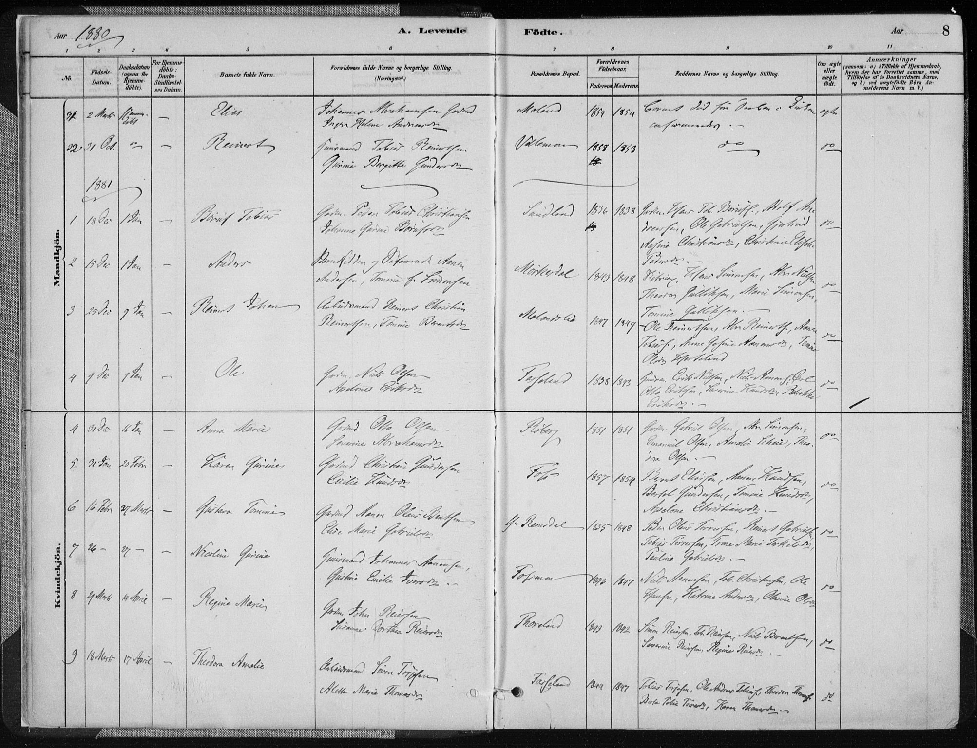 Sør-Audnedal sokneprestkontor, AV/SAK-1111-0039/F/Fa/Fab/L0009: Parish register (official) no. A 9, 1880-1895, p. 8