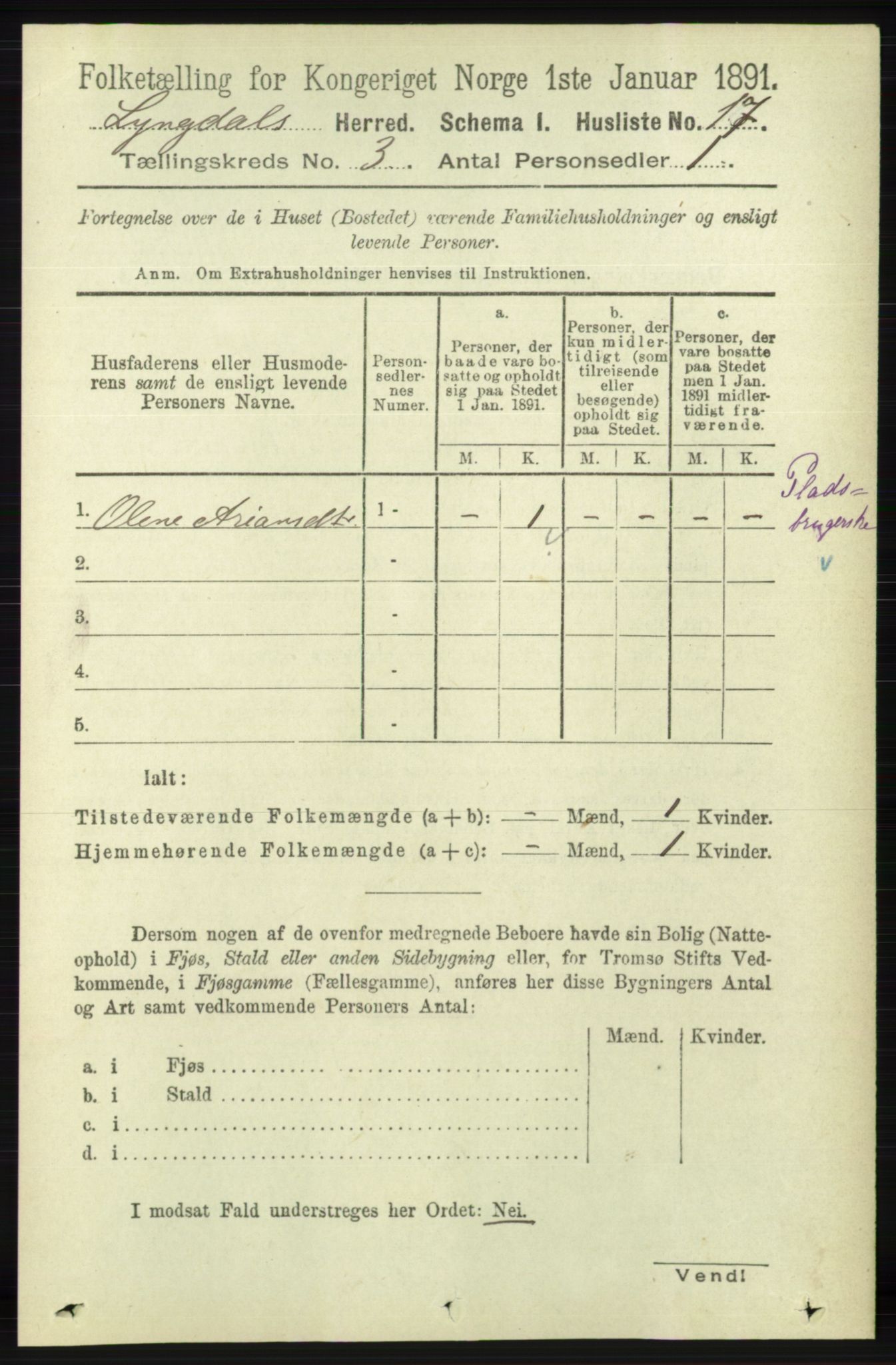 RA, 1891 census for 1032 Lyngdal, 1891, p. 1046
