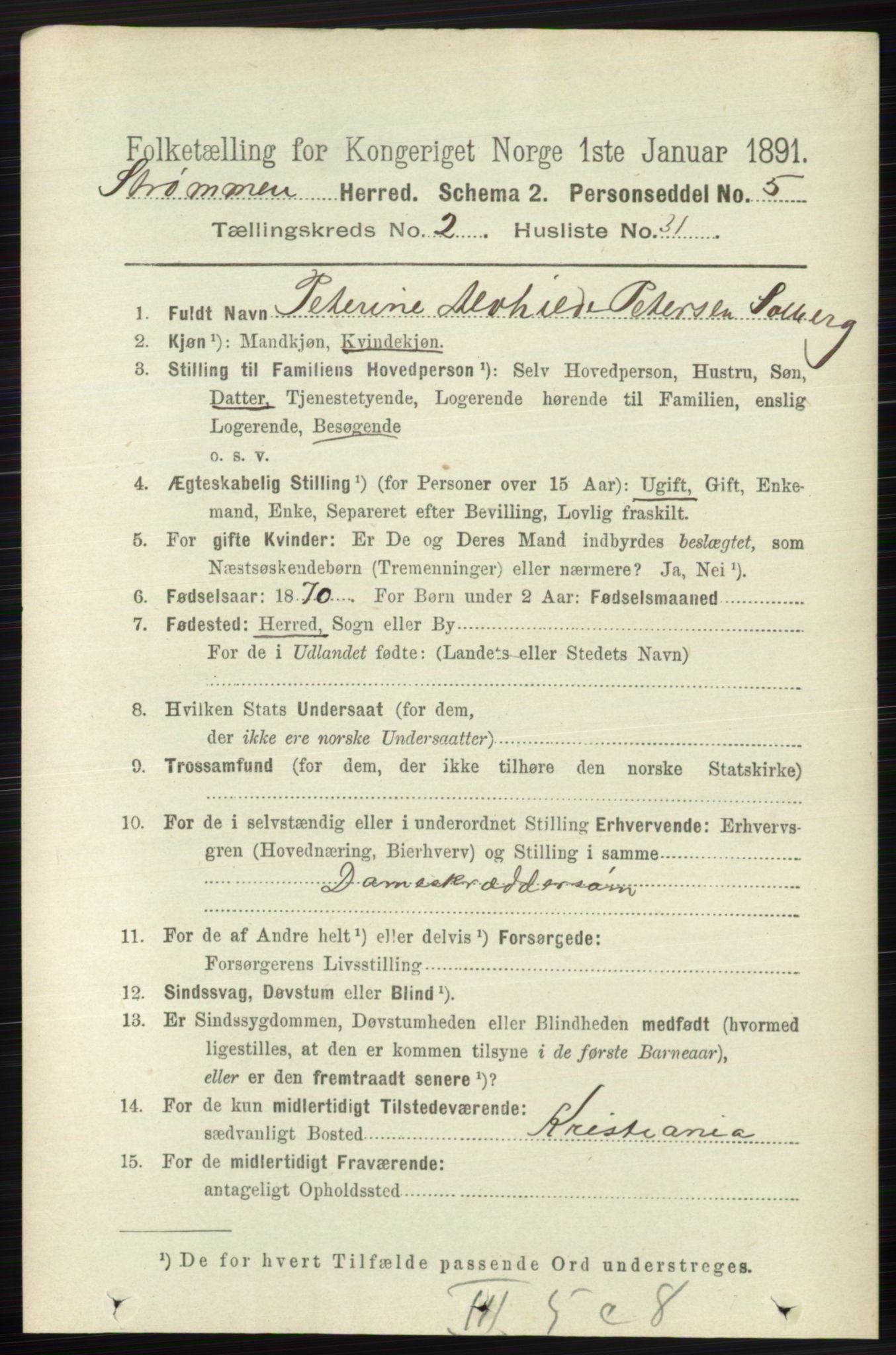 RA, 1891 census for 0711 Strømm, 1891, p. 876