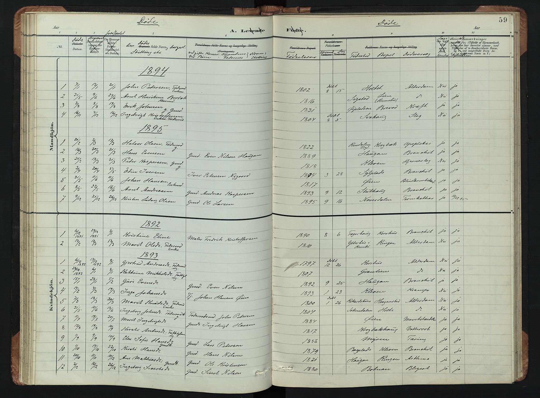 Kvikne prestekontor, SAH/PREST-064/H/Ha/Hab/L0002: Parish register (copy) no. 2, 1859-1901, p. 59