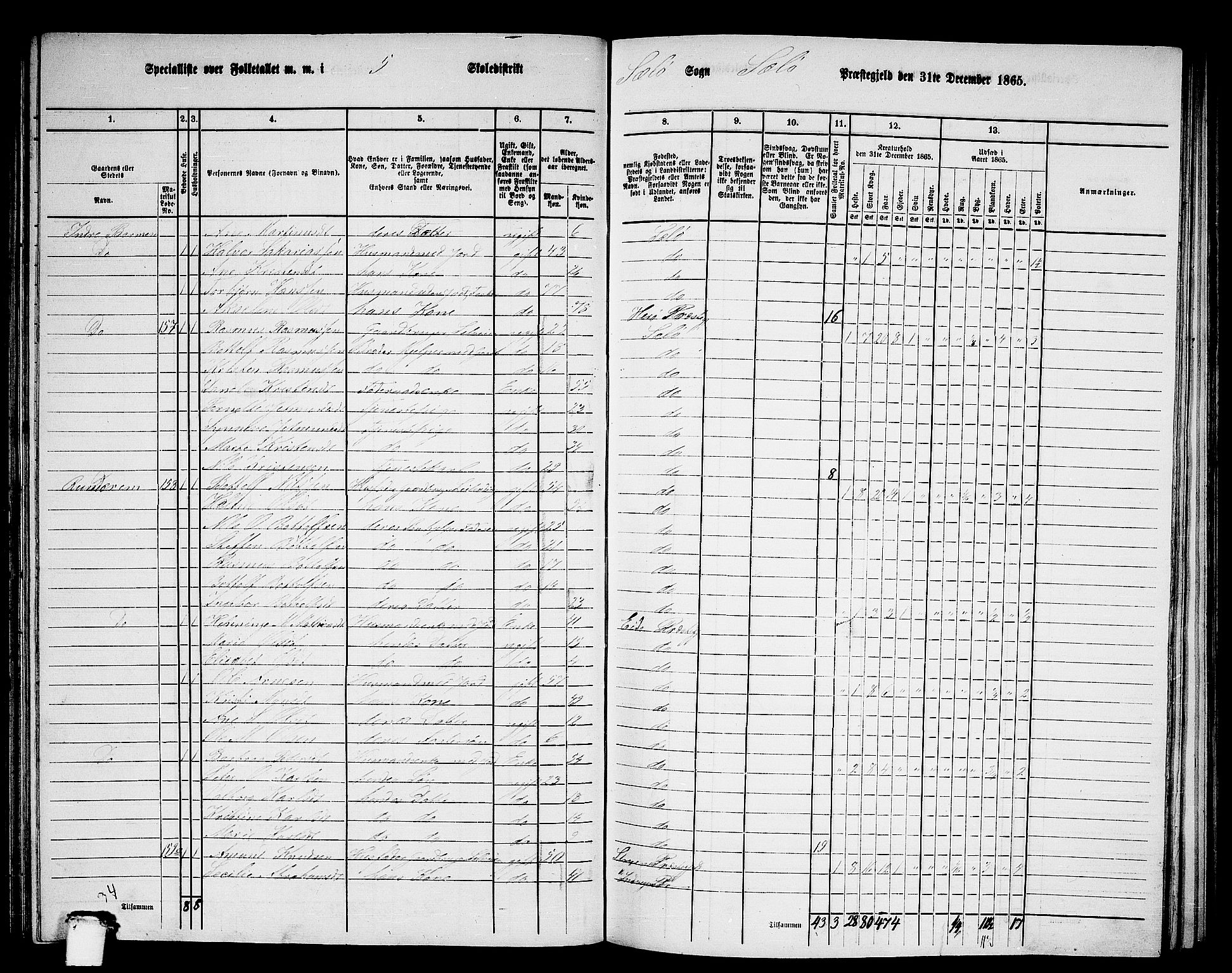 RA, 1865 census for Selje, 1865, p. 87