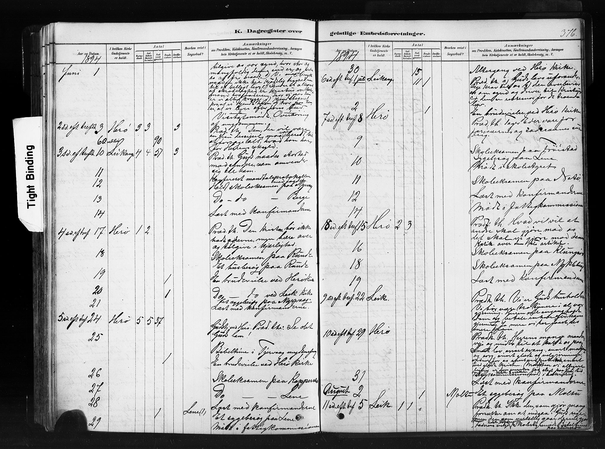 Ministerialprotokoller, klokkerbøker og fødselsregistre - Møre og Romsdal, AV/SAT-A-1454/507/L0073: Parish register (official) no. 507A08, 1878-1904, p. 376