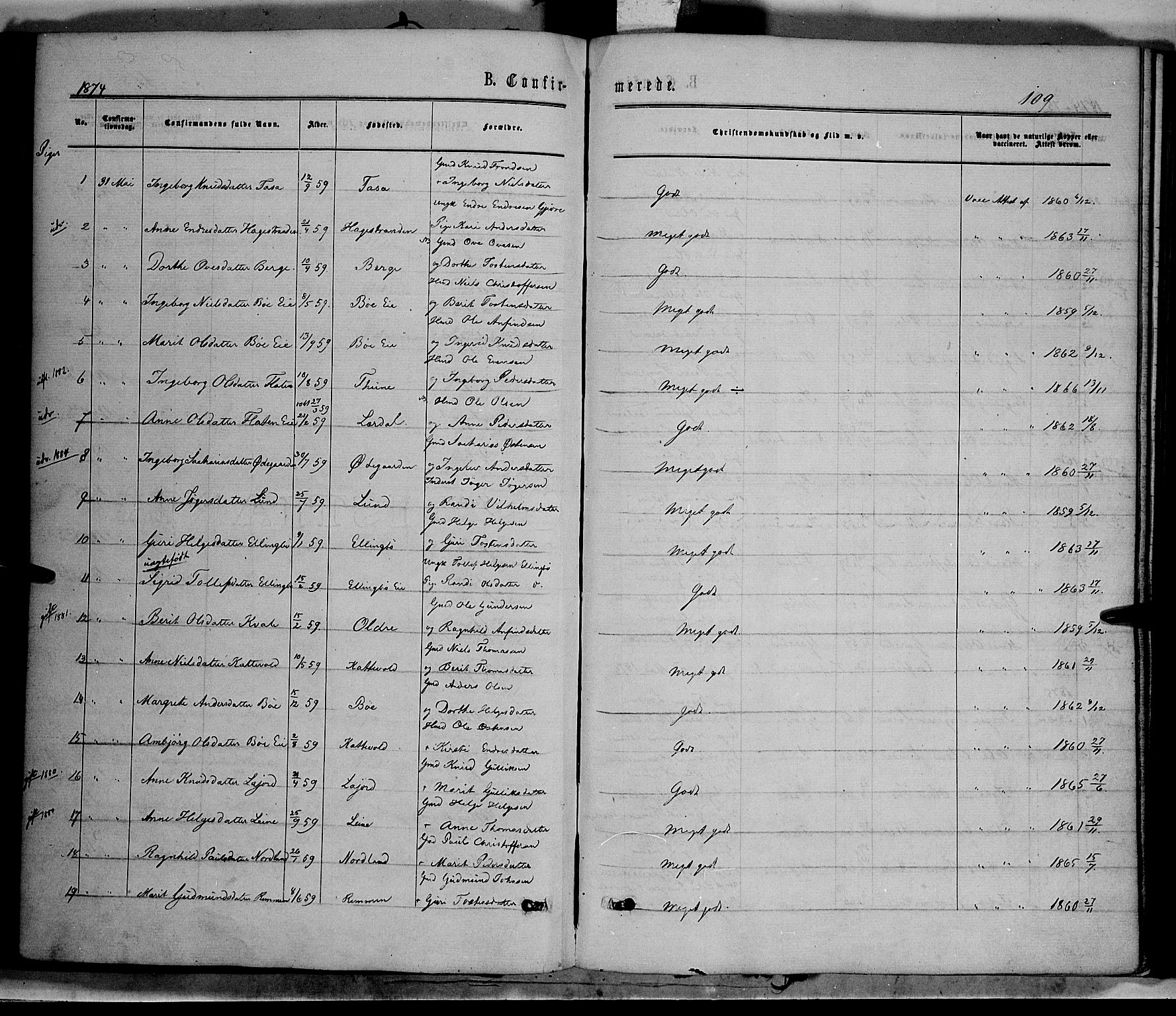 Vang prestekontor, Valdres, SAH/PREST-140/H/Ha/L0007: Parish register (official) no. 7, 1865-1881, p. 109