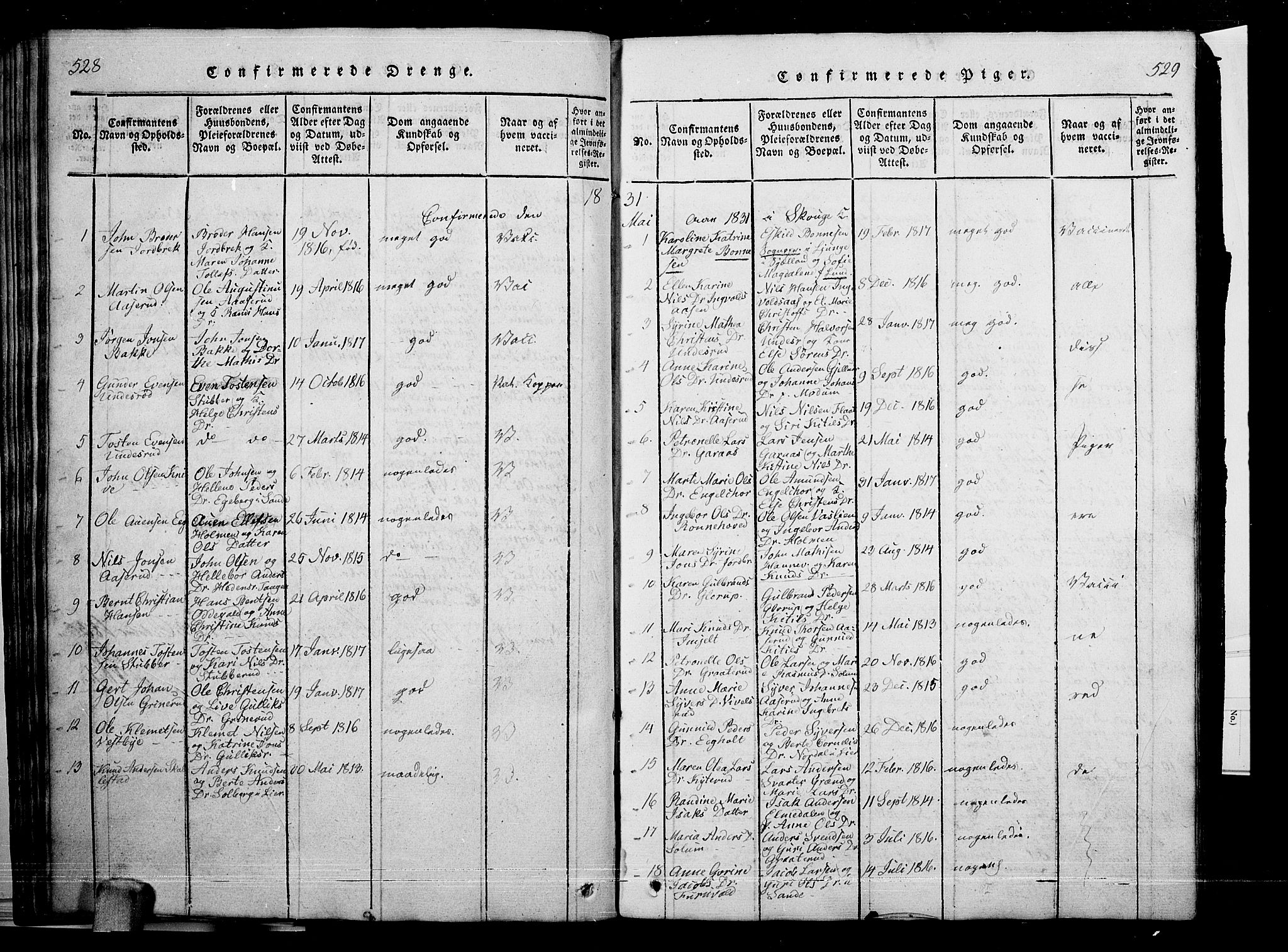 Skoger kirkebøker, AV/SAKO-A-59/G/Ga/L0001: Parish register (copy) no. I 1, 1814-1845, p. 528-529