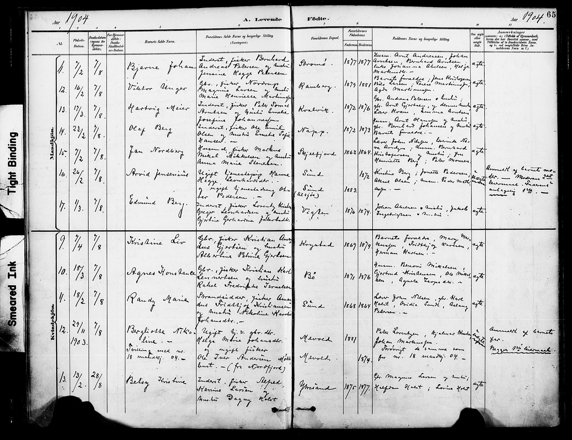 Ministerialprotokoller, klokkerbøker og fødselsregistre - Nordland, AV/SAT-A-1459/885/L1205: Parish register (official) no. 885A06, 1892-1905, p. 65