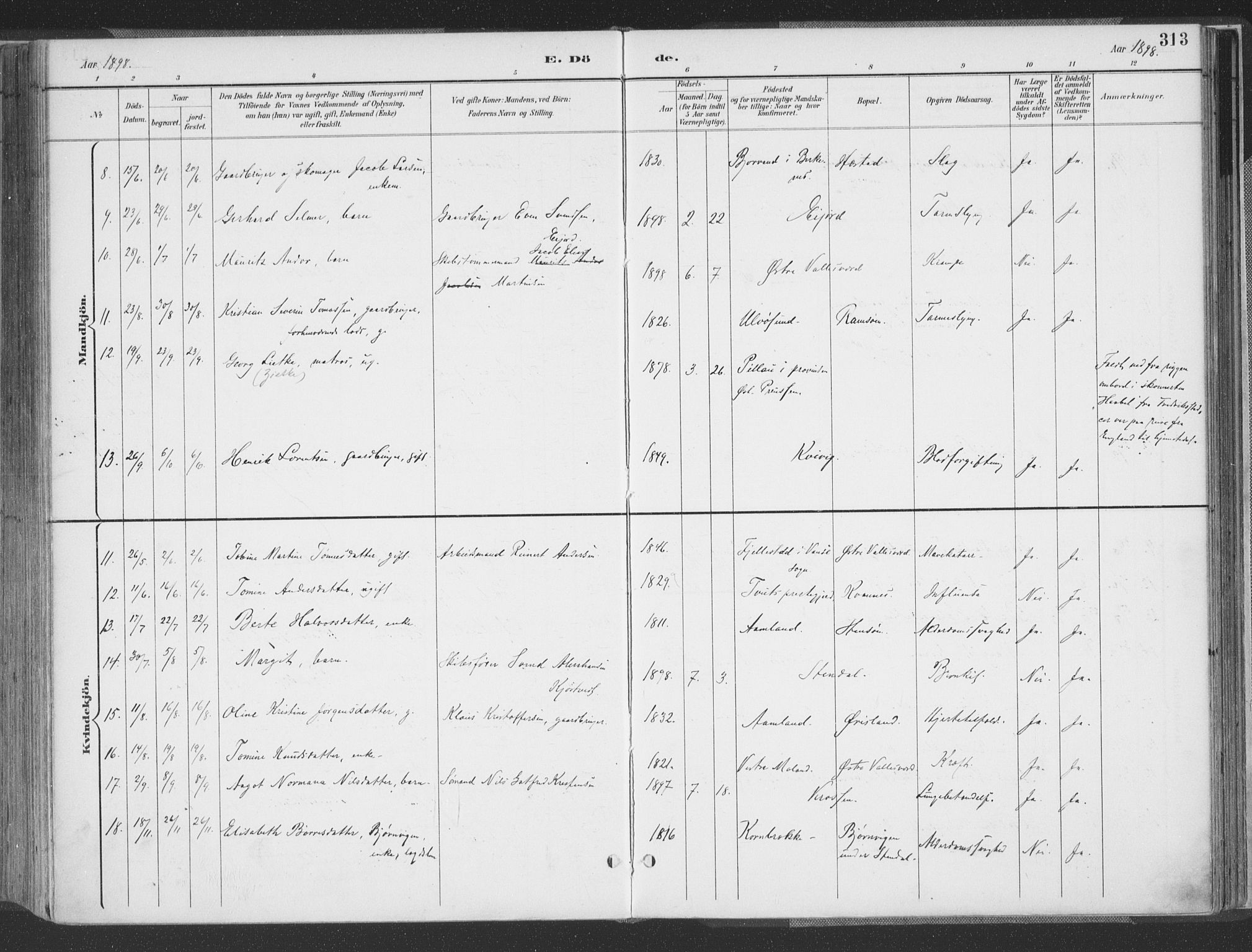 Høvåg sokneprestkontor, AV/SAK-1111-0025/F/Fa/L0006: Parish register (official) no. A 6, 1894-1923, p. 313