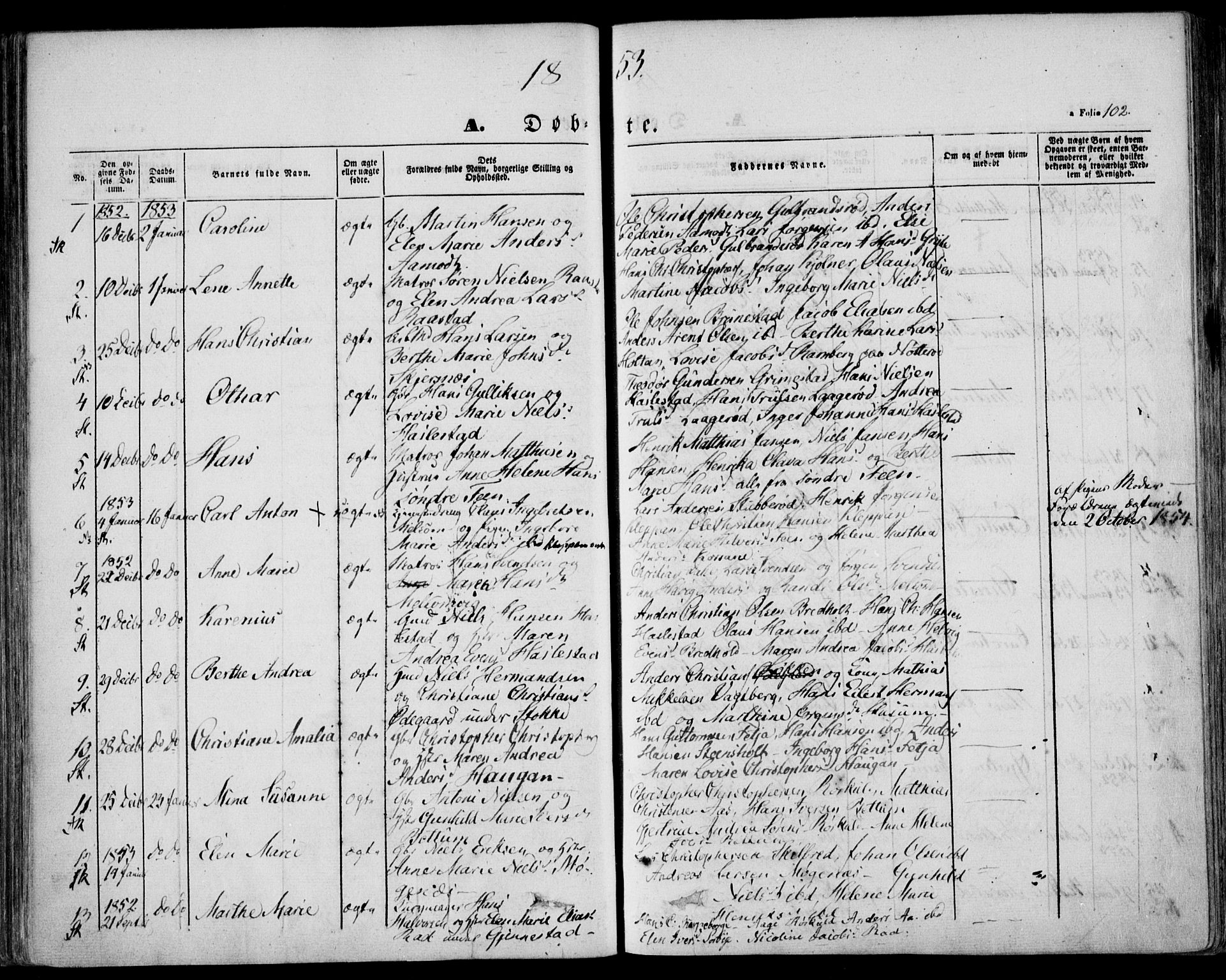 Stokke kirkebøker, AV/SAKO-A-320/F/Fa/L0007: Parish register (official) no. I 7, 1844-1857, p. 102