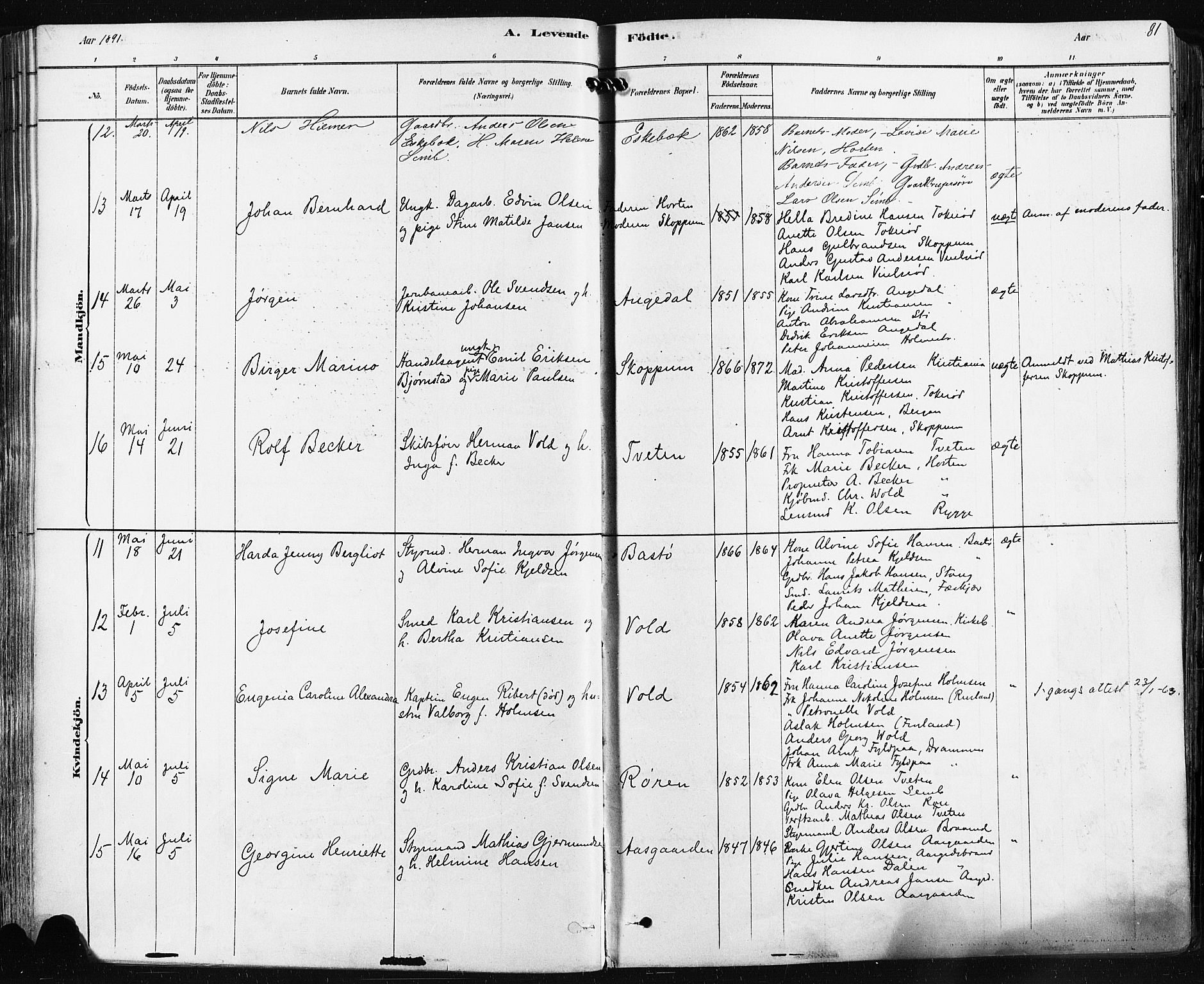 Borre kirkebøker, SAKO/A-338/F/Fa/L0009: Parish register (official) no. I 9, 1878-1896, p. 81