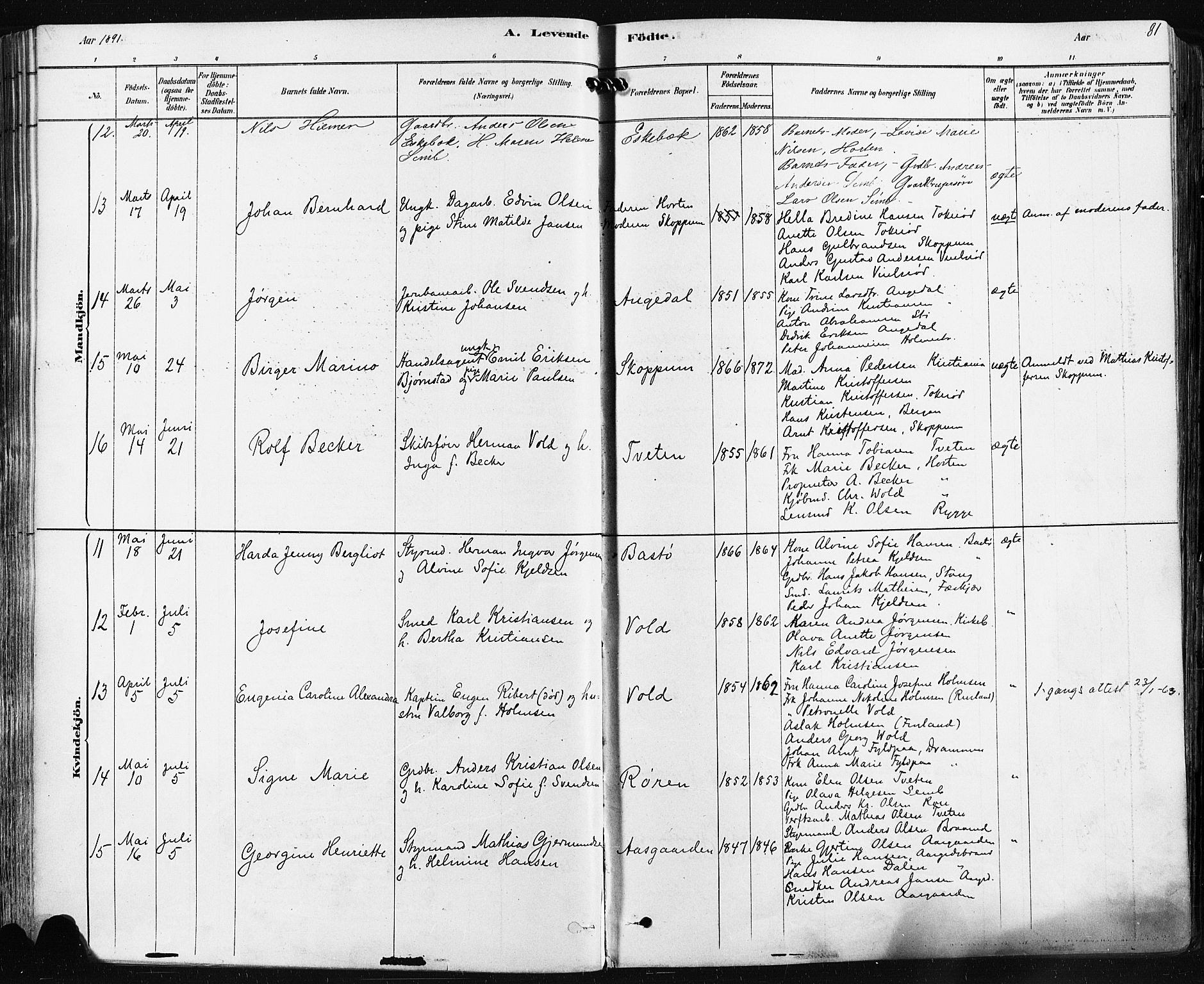 Borre kirkebøker, AV/SAKO-A-338/F/Fa/L0009: Parish register (official) no. I 9, 1878-1896, p. 81