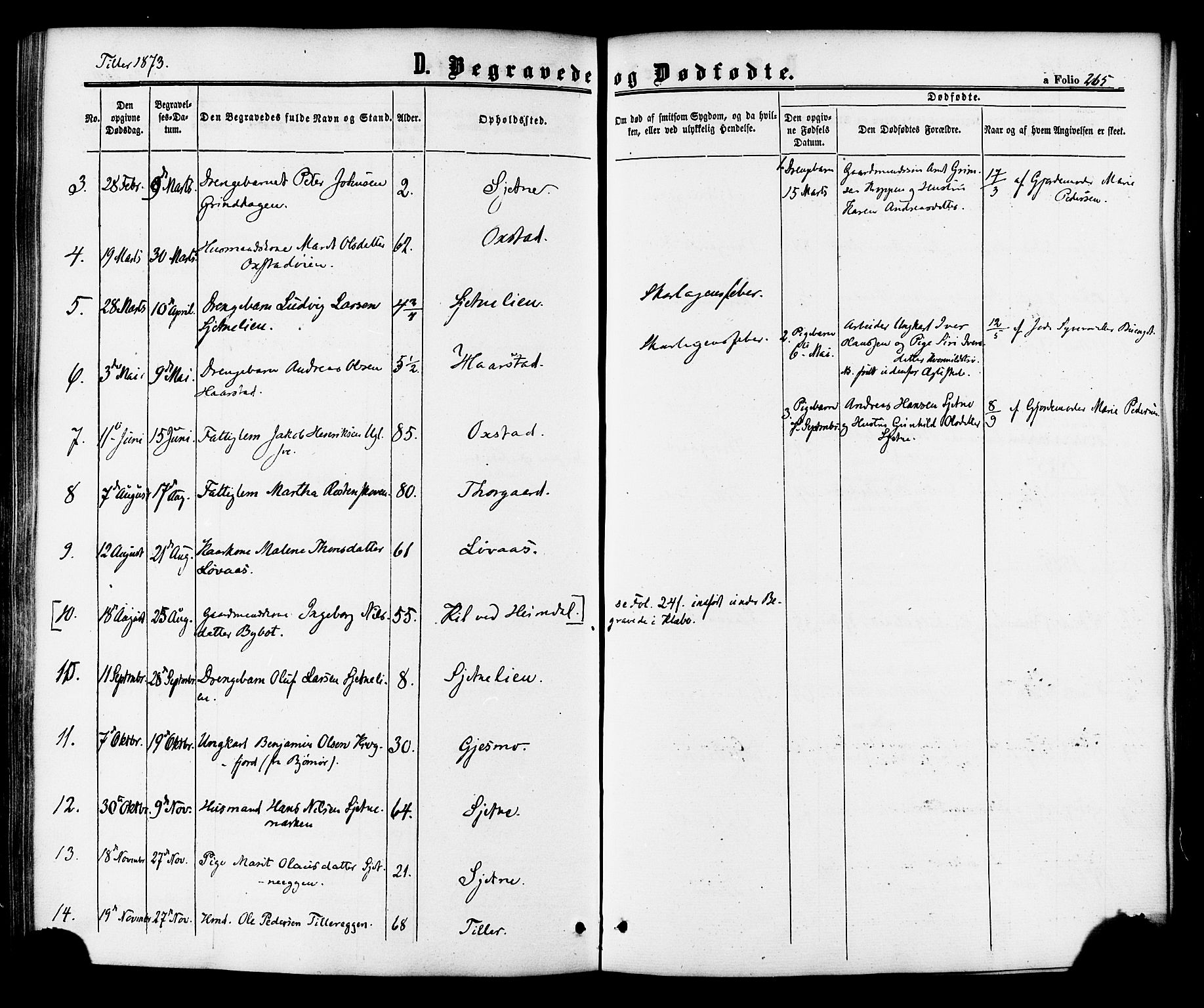 Ministerialprotokoller, klokkerbøker og fødselsregistre - Sør-Trøndelag, AV/SAT-A-1456/618/L0443: Parish register (official) no. 618A06 /2, 1863-1879, p. 265