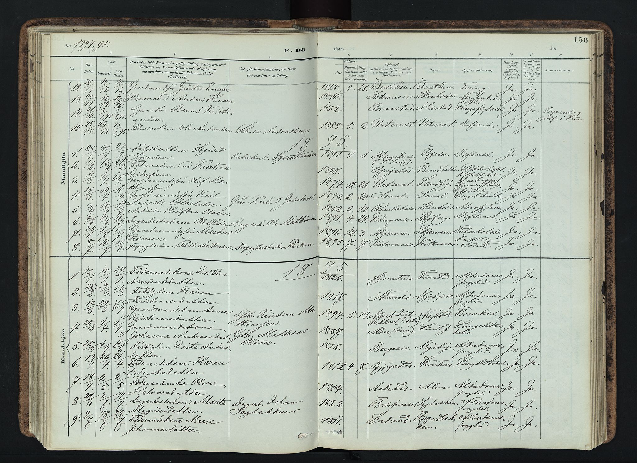Vardal prestekontor, SAH/PREST-100/H/Ha/Haa/L0019: Parish register (official) no. 19, 1893-1907, p. 156