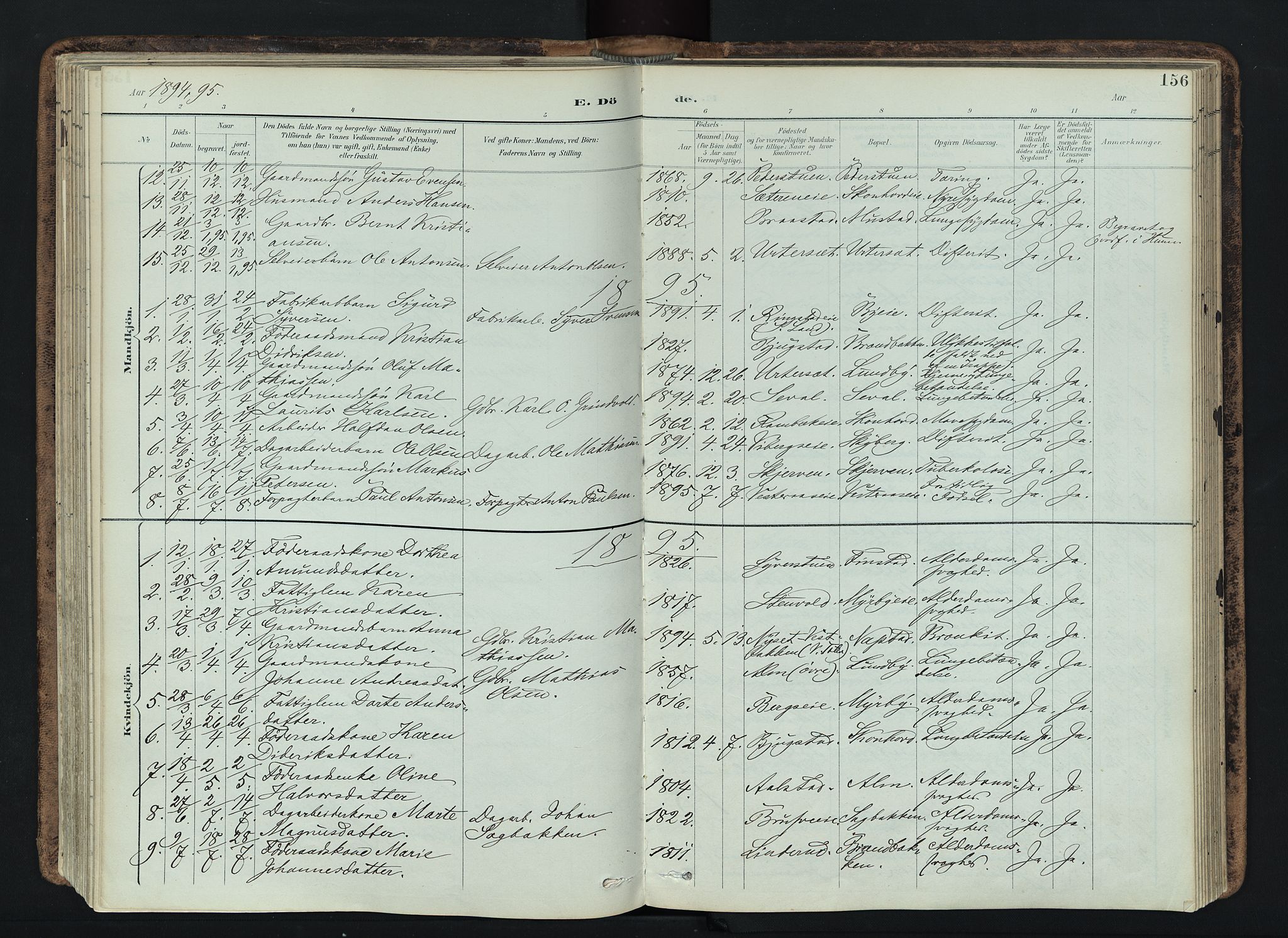 Vardal prestekontor, AV/SAH-PREST-100/H/Ha/Haa/L0019: Parish register (official) no. 19, 1893-1907, p. 156