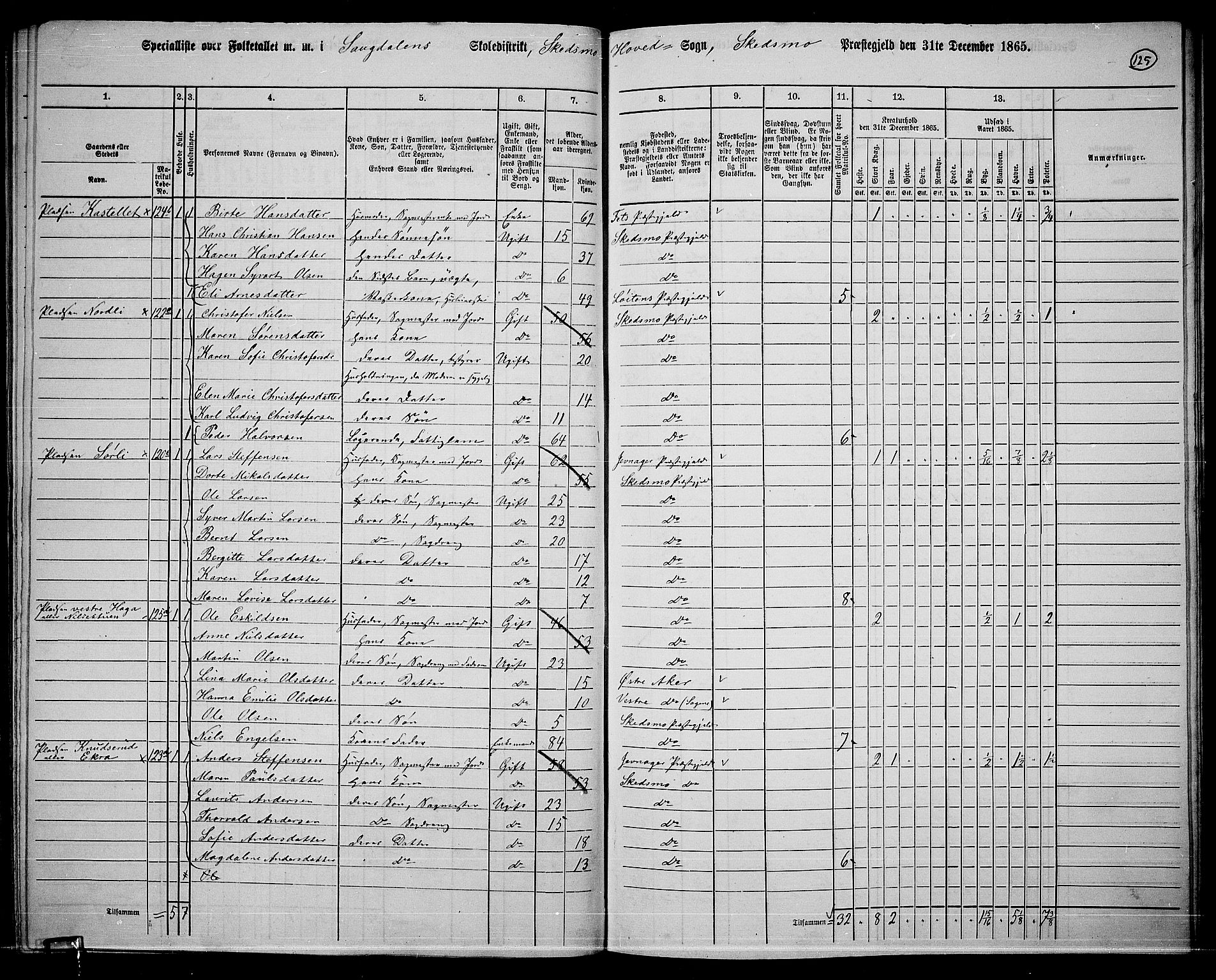 RA, 1865 census for Skedsmo, 1865, p. 113