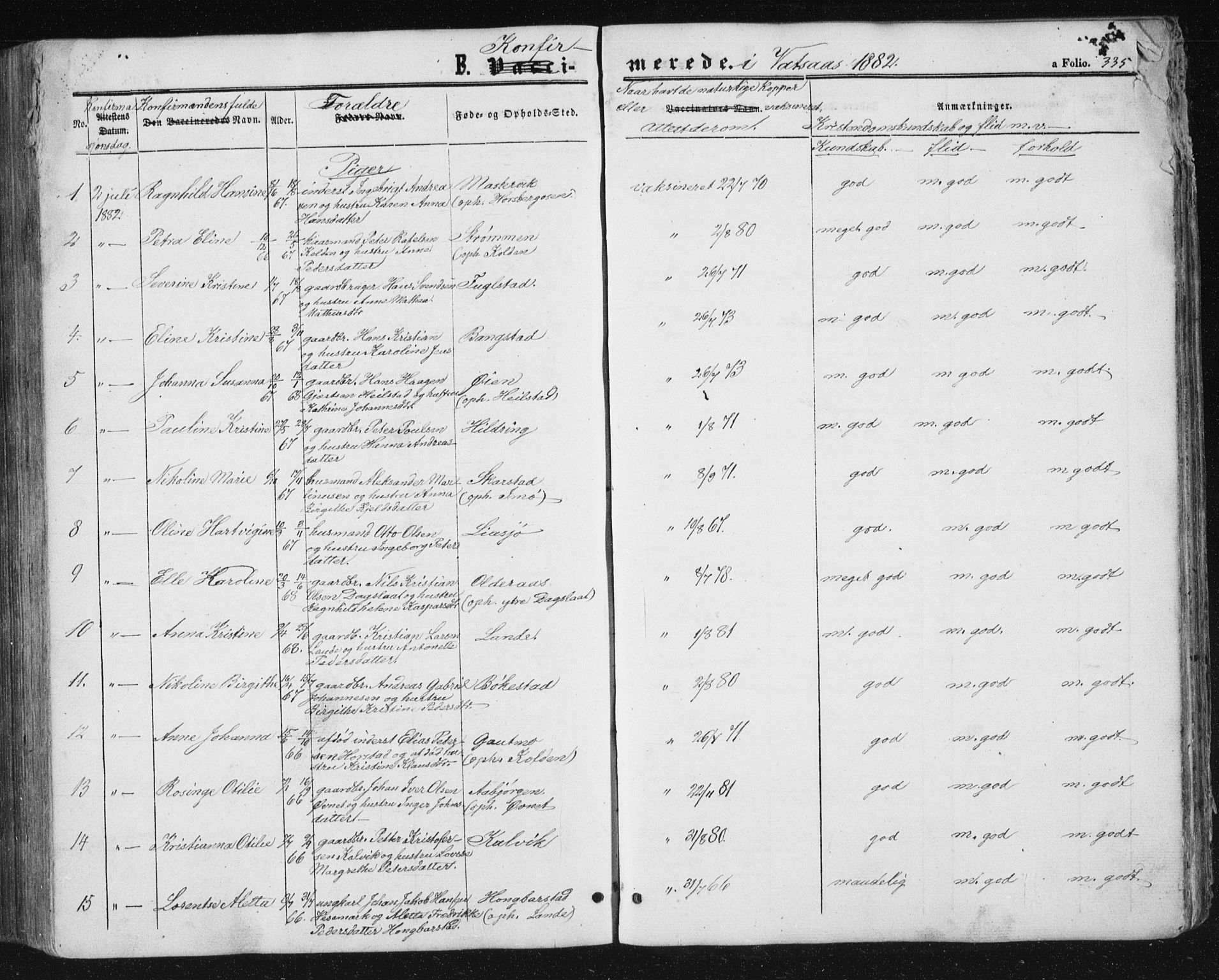 Ministerialprotokoller, klokkerbøker og fødselsregistre - Nordland, AV/SAT-A-1459/810/L0158: Parish register (copy) no. 810C02 /1, 1863-1883, p. 335