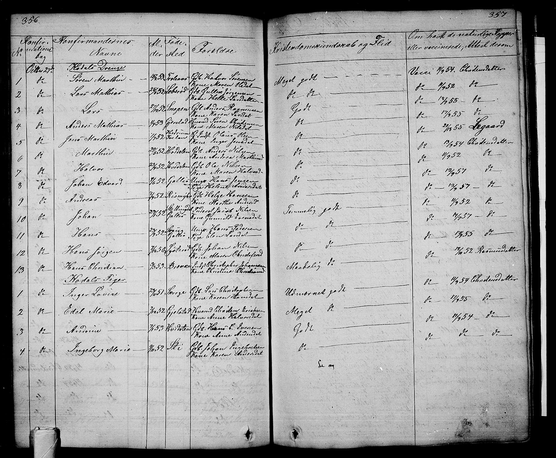 Andebu kirkebøker, AV/SAKO-A-336/G/Ga/L0003: Parish register (copy) no. I 3, 1832-1867, p. 356-357