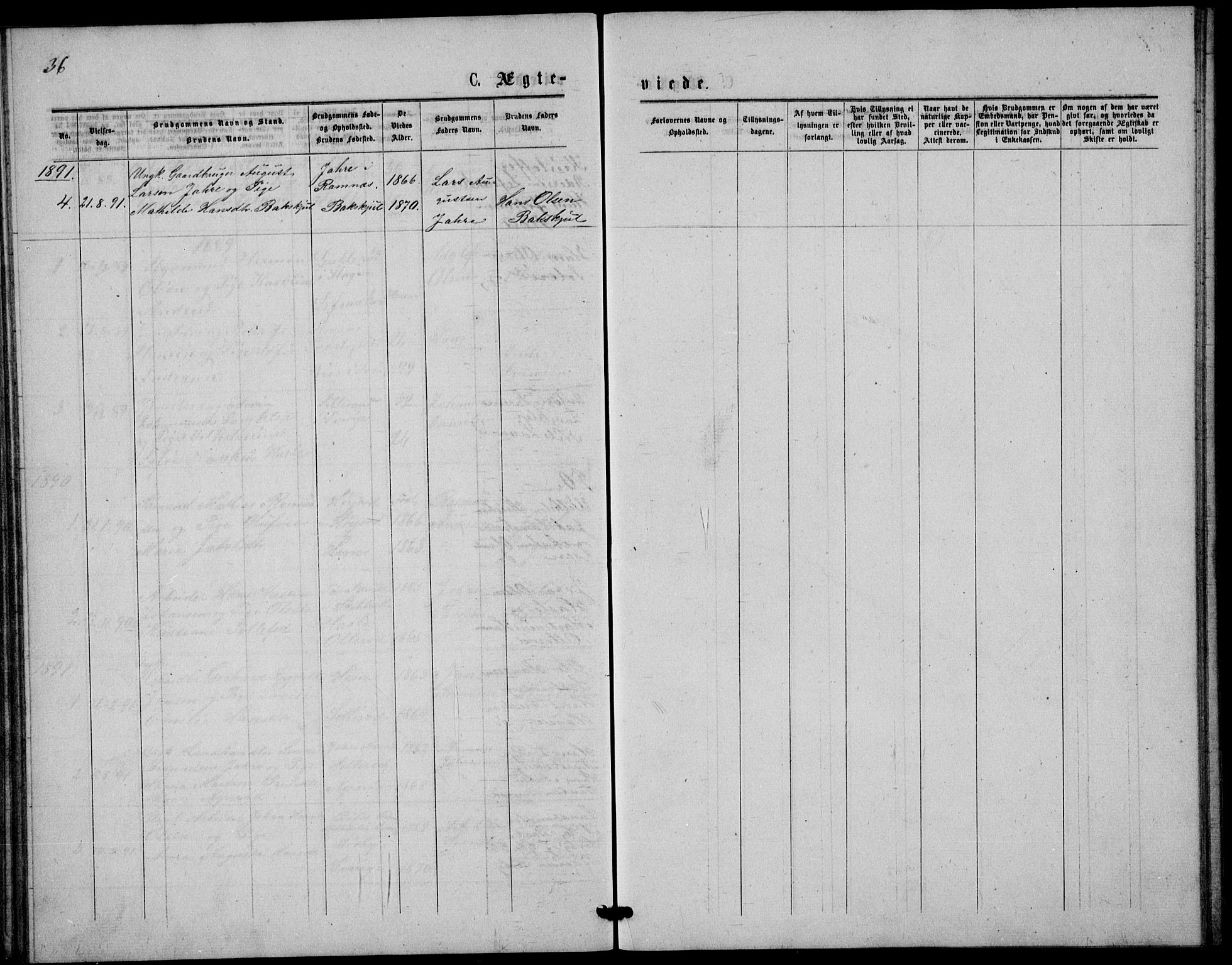 Våle kirkebøker, AV/SAKO-A-334/G/Gb/L0001: Parish register (copy) no. II 1, 1874-1891, p. 36