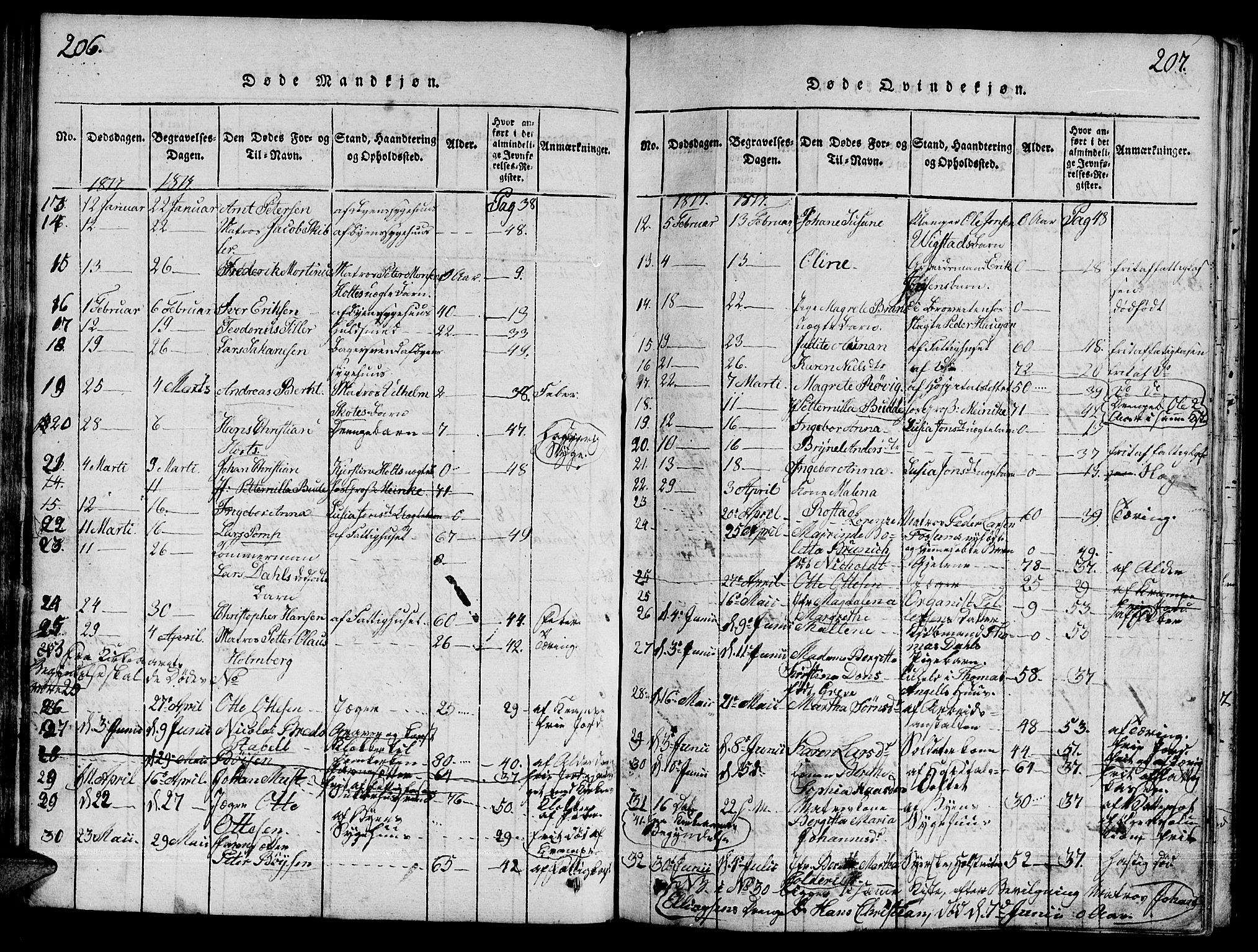 Ministerialprotokoller, klokkerbøker og fødselsregistre - Sør-Trøndelag, SAT/A-1456/601/L0043: Parish register (official) no. 601A11, 1815-1821, p. 206-207