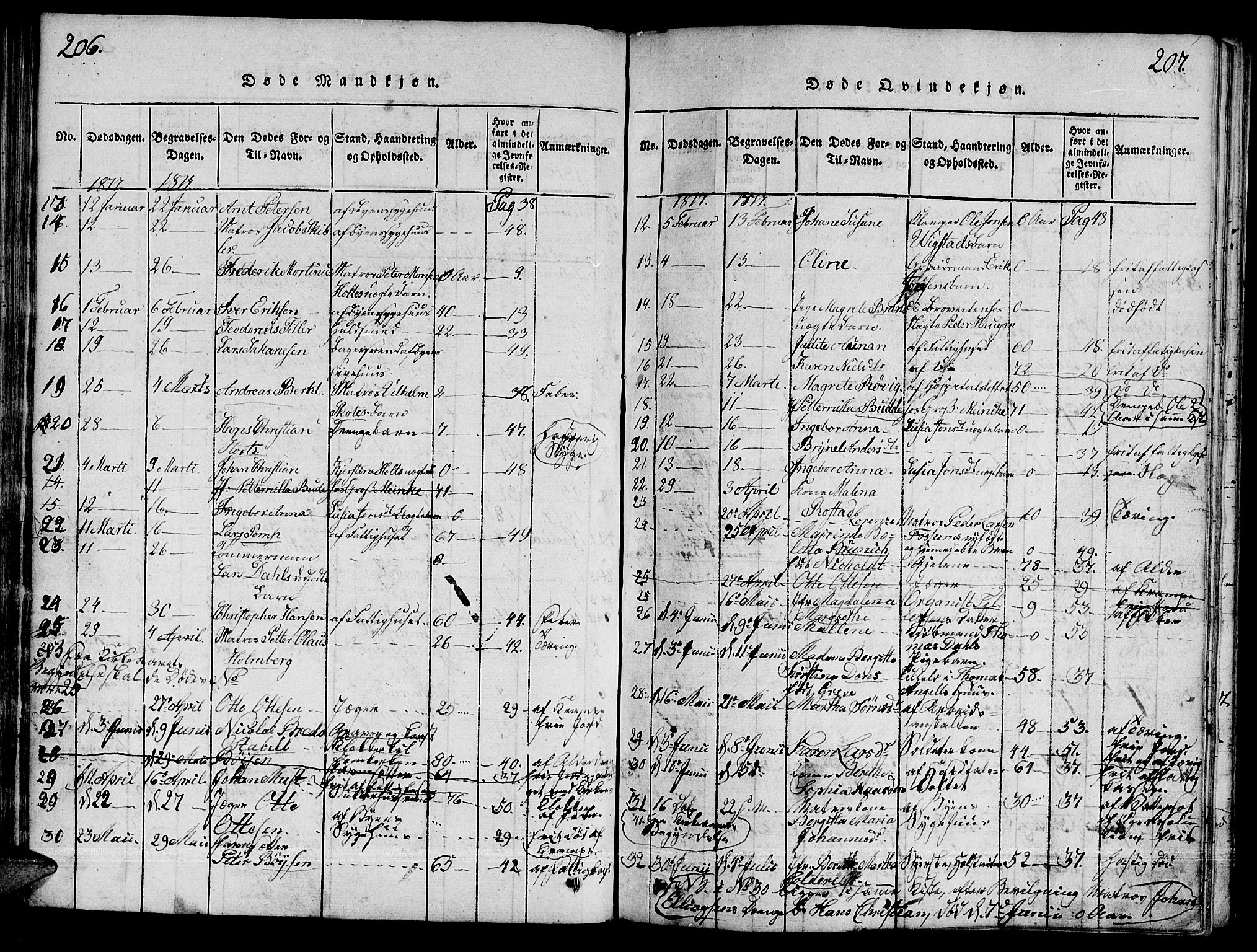 Ministerialprotokoller, klokkerbøker og fødselsregistre - Sør-Trøndelag, AV/SAT-A-1456/601/L0043: Parish register (official) no. 601A11, 1815-1821, p. 206-207