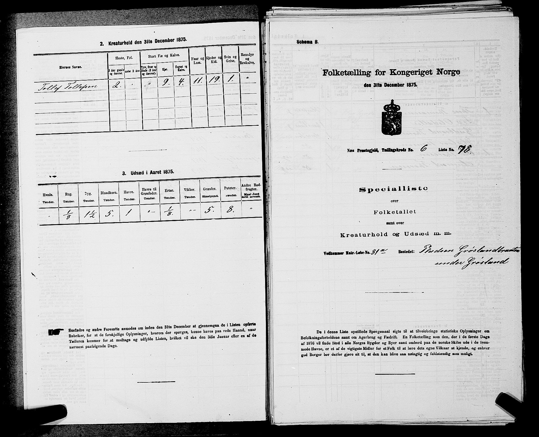 SAKO, 1875 census for 0616P Nes, 1875, p. 976