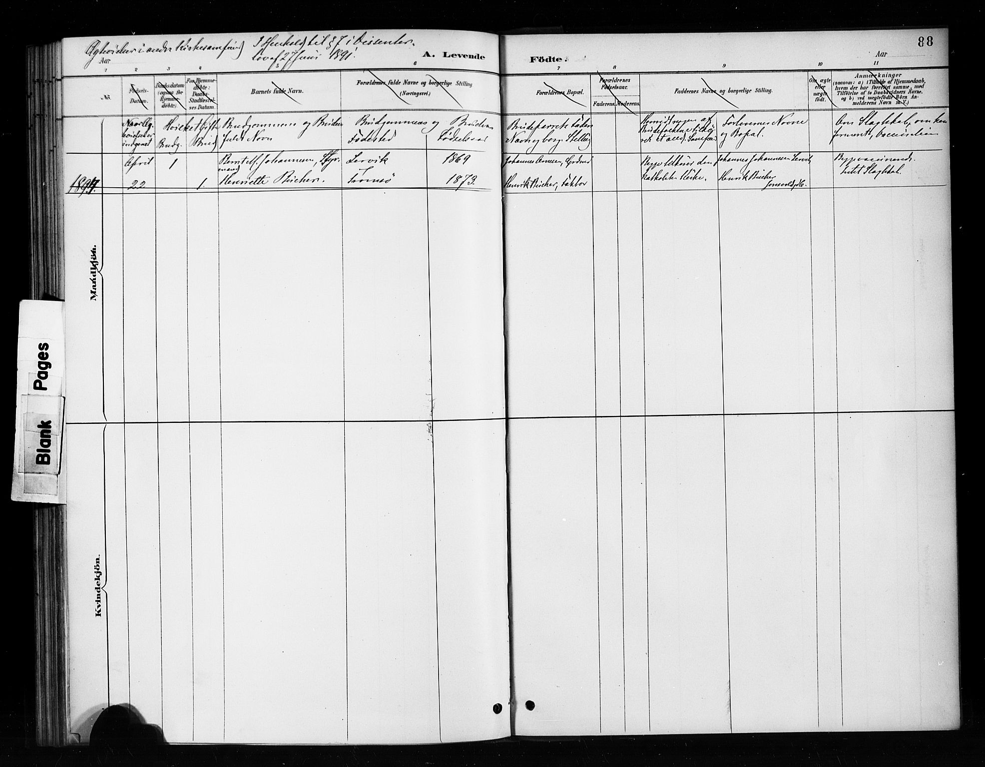 Nykirken Sokneprestembete, SAB/A-77101/H/Haa/L0053: Parish register (official) no. H 2, 1887-1897, p. 88