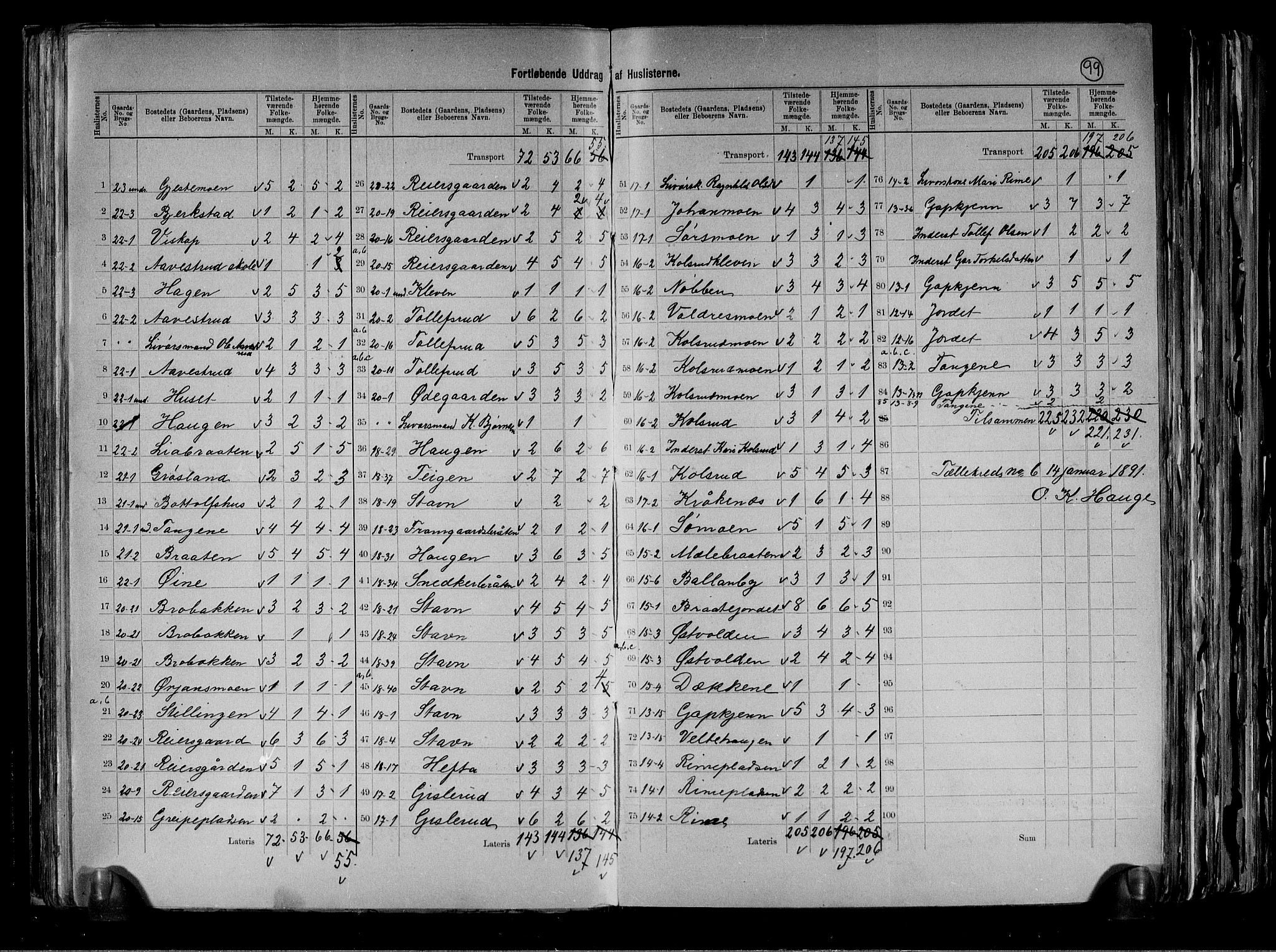 RA, 1891 census for 0616 Nes, 1891, p. 19