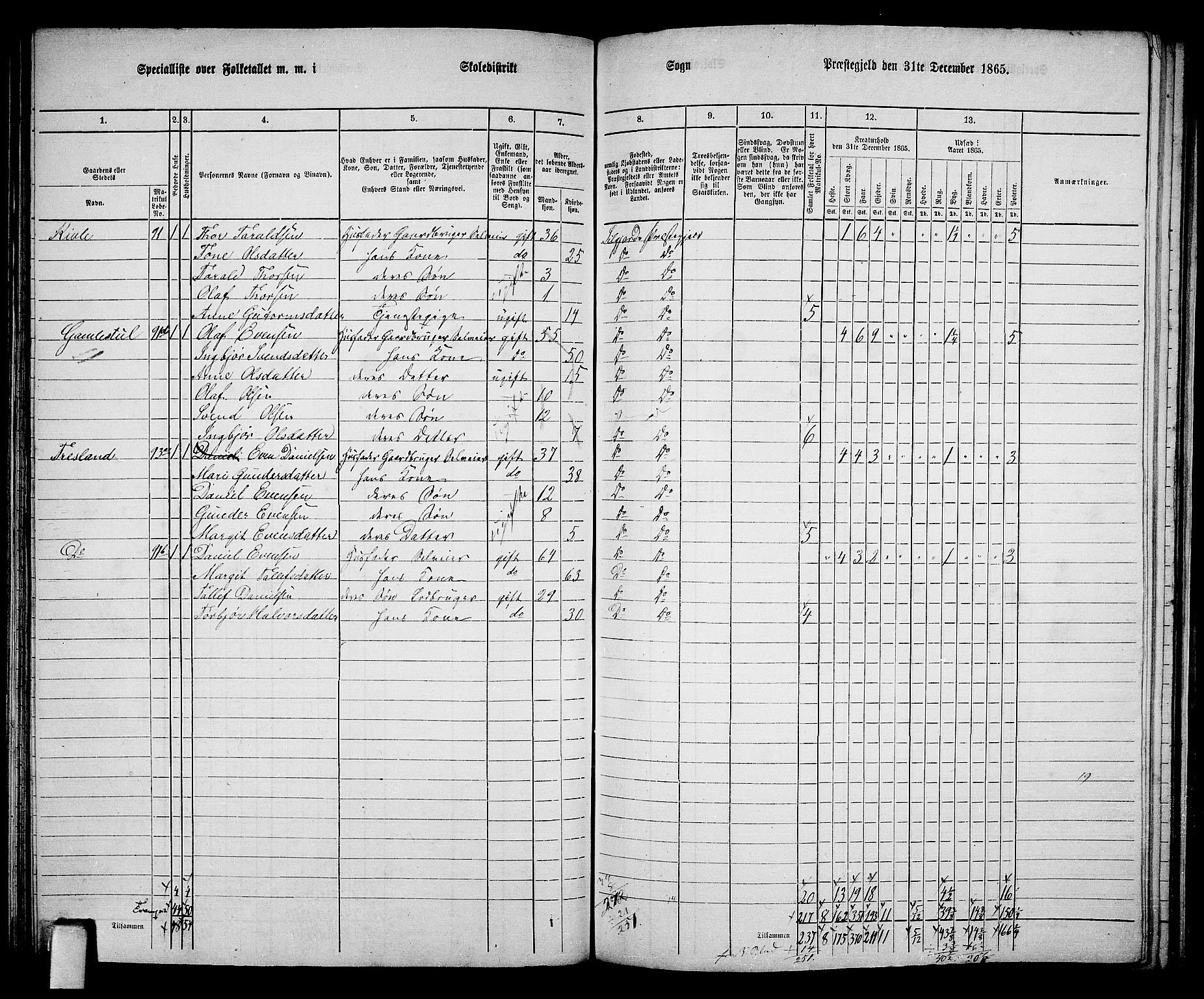 RA, 1865 census for Seljord, 1865, p. 85