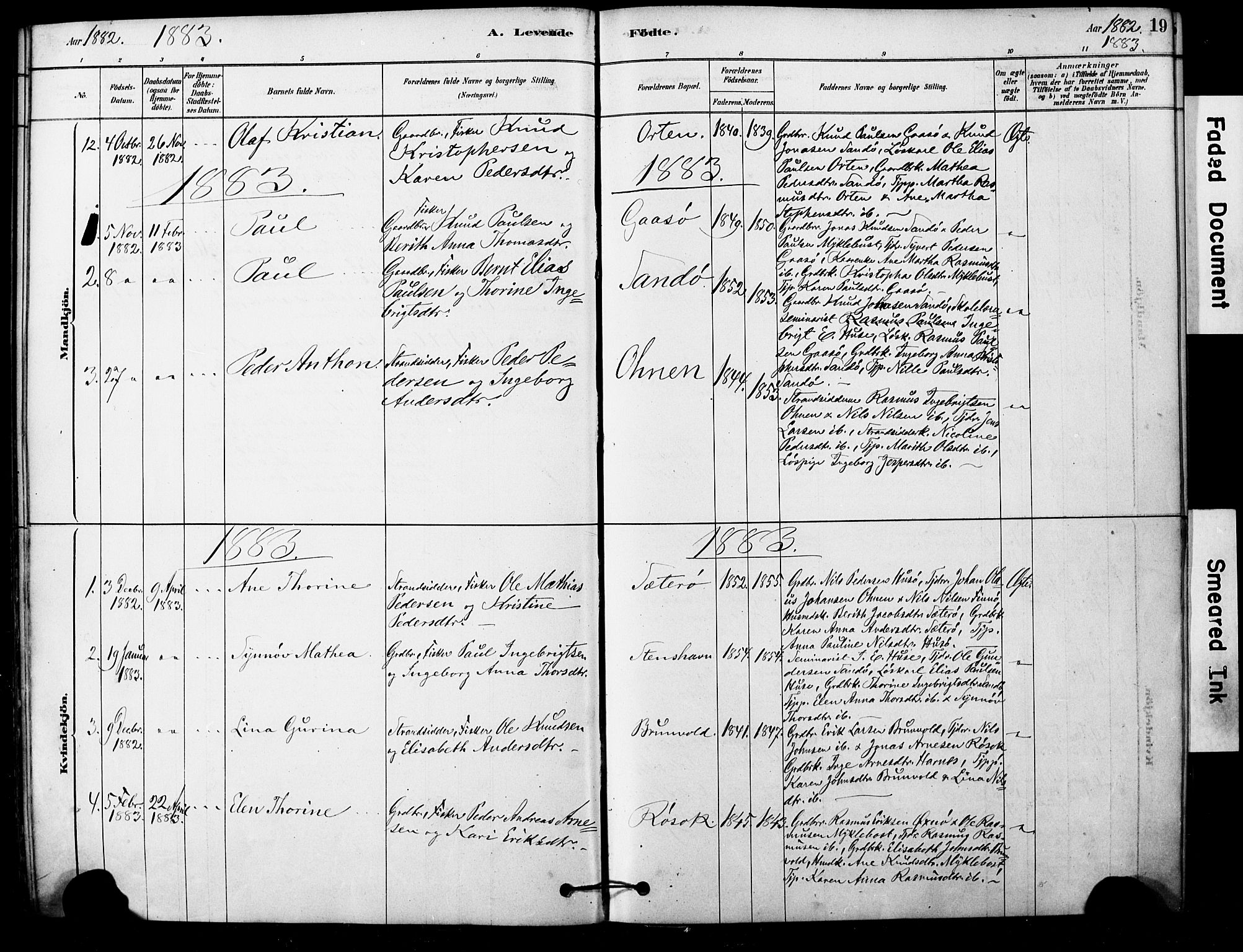 Ministerialprotokoller, klokkerbøker og fødselsregistre - Møre og Romsdal, AV/SAT-A-1454/561/L0729: Parish register (official) no. 561A03, 1878-1900, p. 19