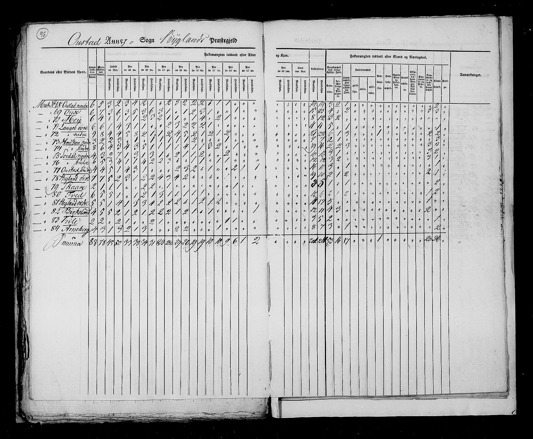 RA, Census 1825, vol. 10: Nedenes og Råbyggelaget amt, 1825, p. 95