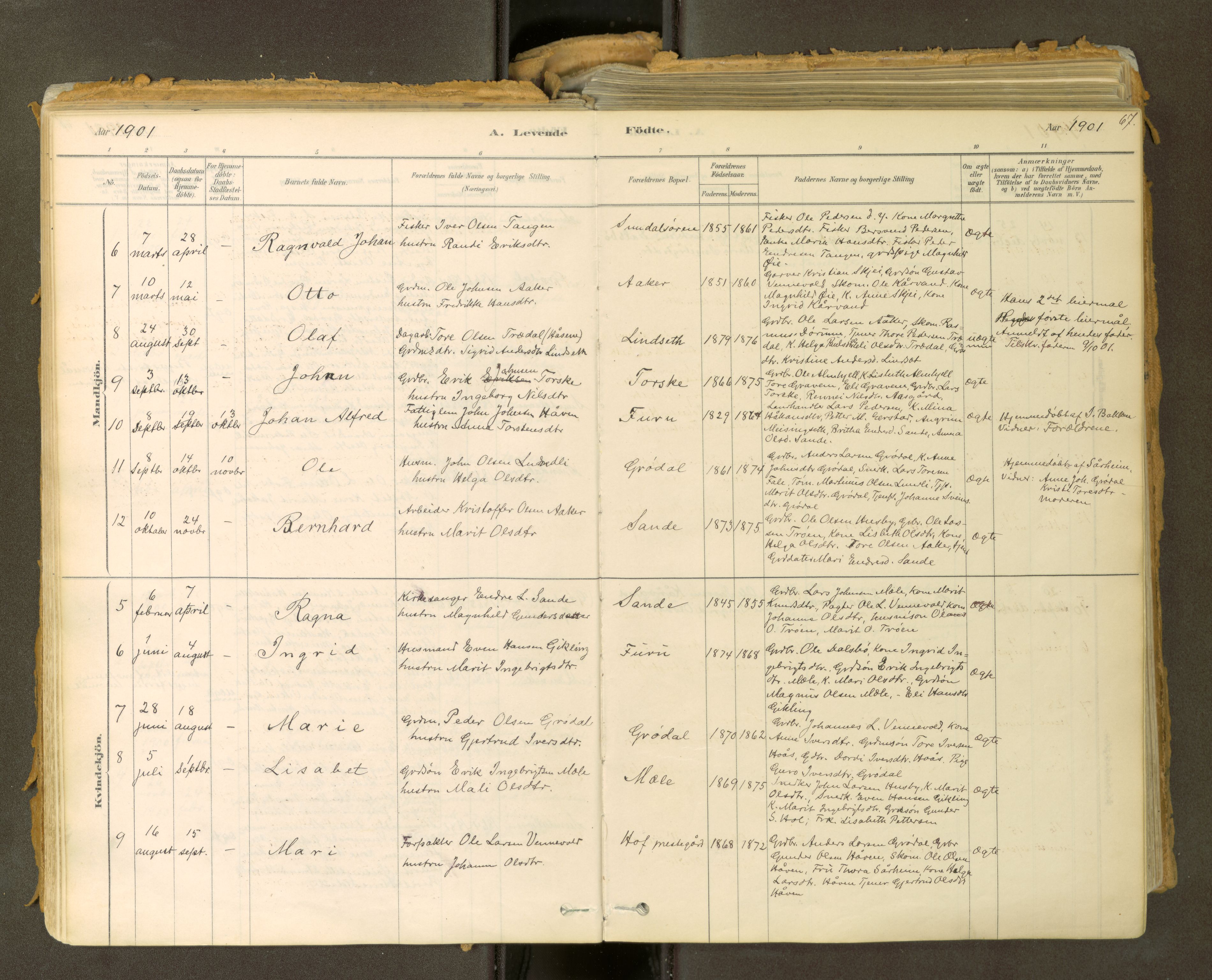 Sunndal sokneprestkontor, AV/SAT-A-1085/1/I/I1/I1a: Parish register (official) no. 2, 1877-1914, p. 67