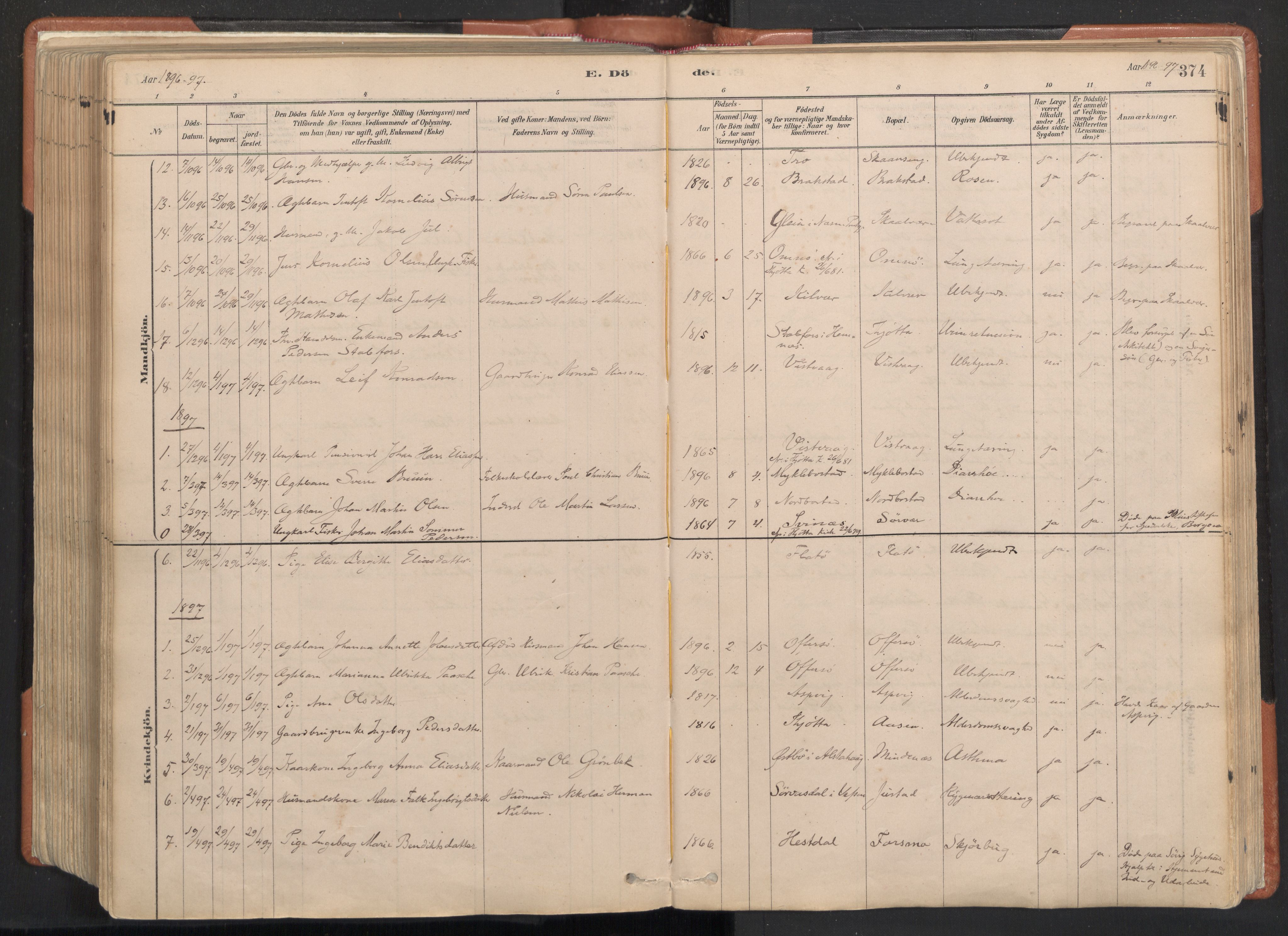 Ministerialprotokoller, klokkerbøker og fødselsregistre - Nordland, SAT/A-1459/817/L0264: Parish register (official) no. 817A04, 1878-1907, p. 374