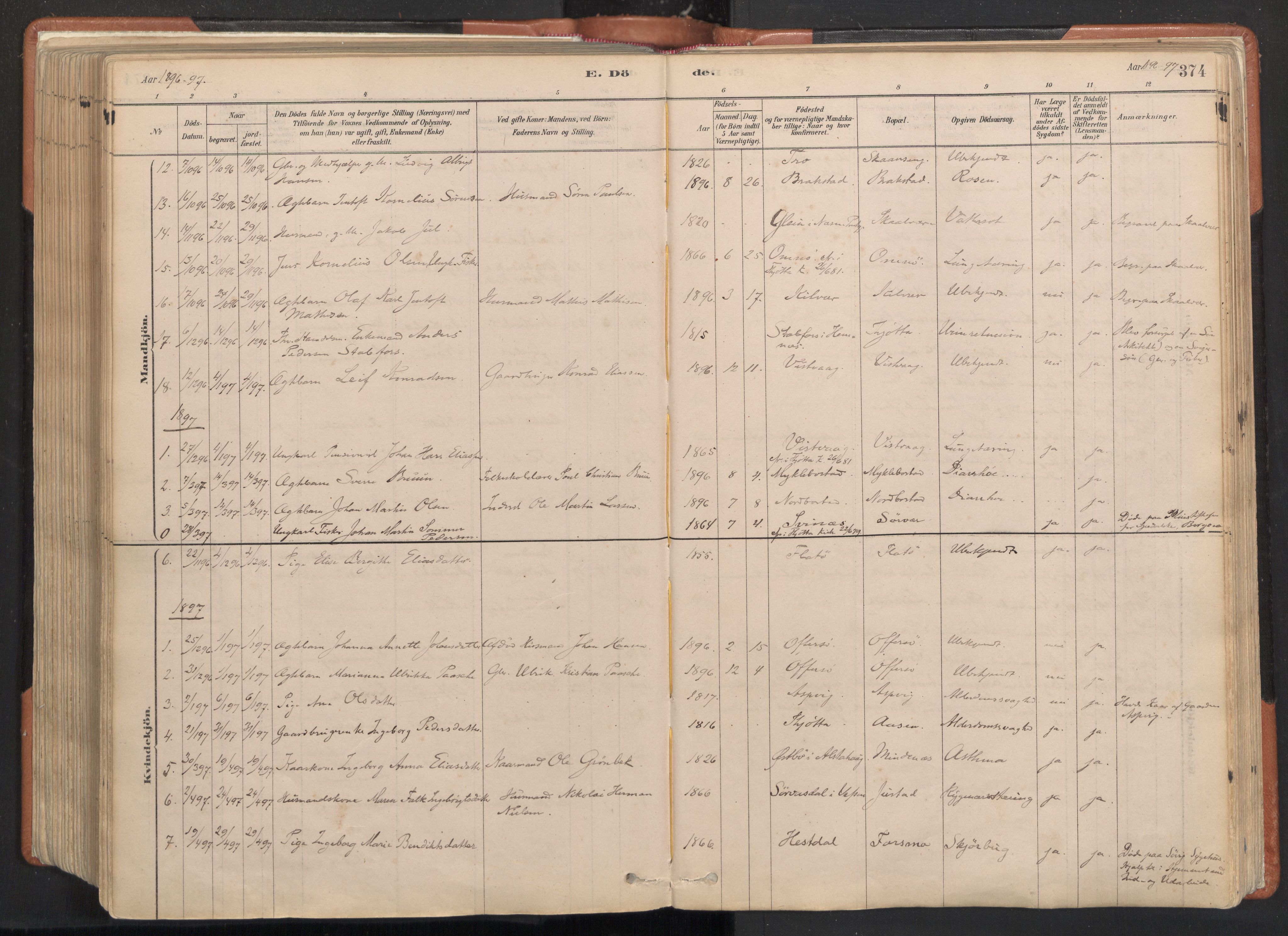 Ministerialprotokoller, klokkerbøker og fødselsregistre - Nordland, AV/SAT-A-1459/817/L0264: Parish register (official) no. 817A04, 1878-1907, p. 374