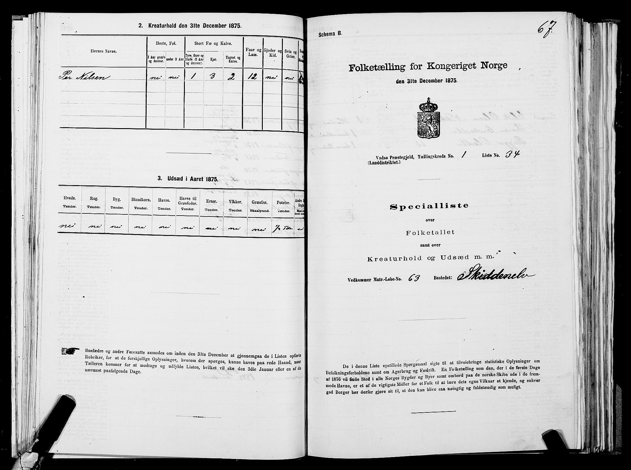 SATØ, 1875 census for 2029L Vadsø/Vadsø, 1875, p. 1067