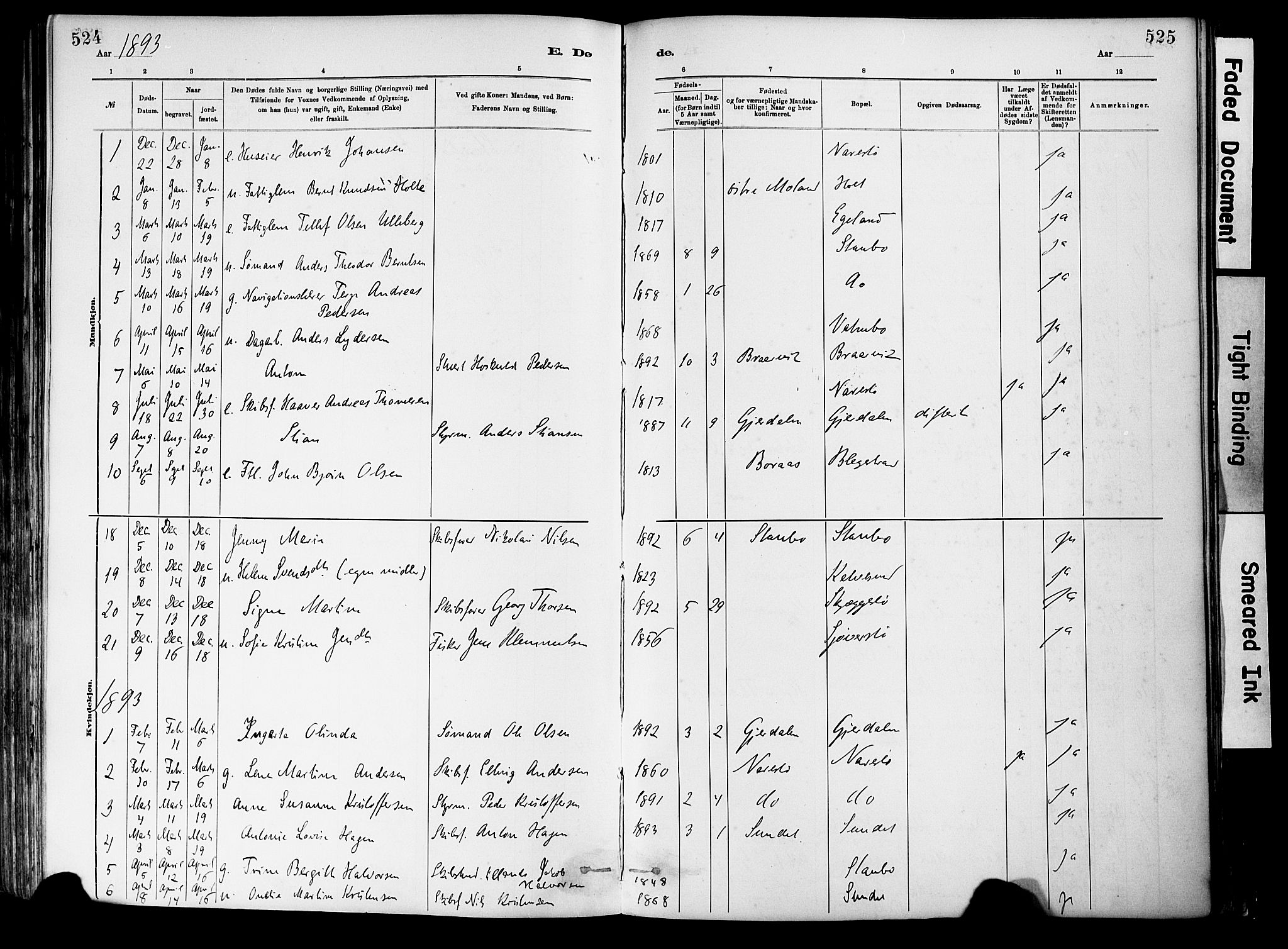 Dypvåg sokneprestkontor, SAK/1111-0007/F/Fa/Fab/L0001: Parish register (official) no. A 1, 1885-1912, p. 524-525