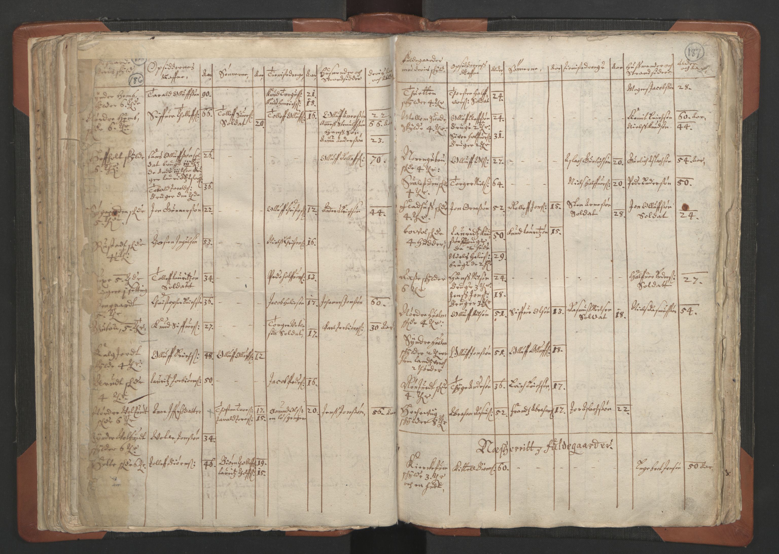 RA, Vicar's Census 1664-1666, no. 12: Øvre Telemark deanery, Nedre Telemark deanery and Bamble deanery, 1664-1666, p. 186-187