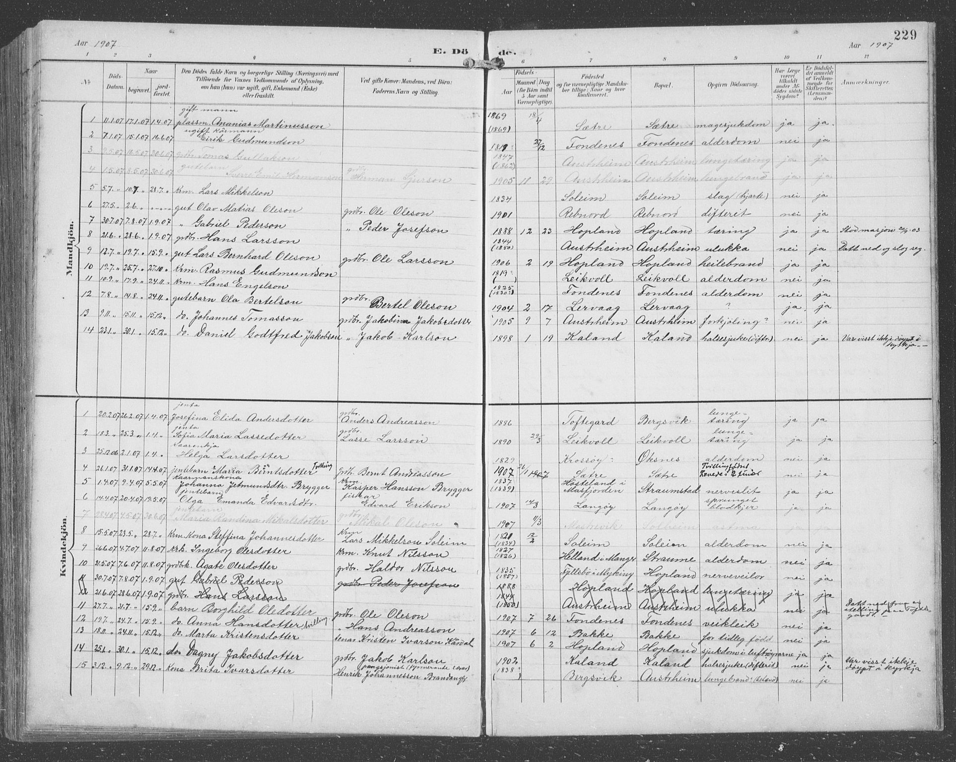 Lindås Sokneprestembete, SAB/A-76701/H/Hab: Parish register (copy) no. C 4, 1894-1910, p. 229