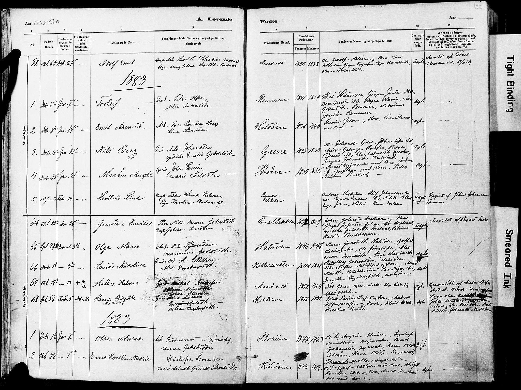 Ministerialprotokoller, klokkerbøker og fødselsregistre - Nordland, SAT/A-1459/820/L0295: Parish register (official) no. 820A16, 1880-1896, p. 22