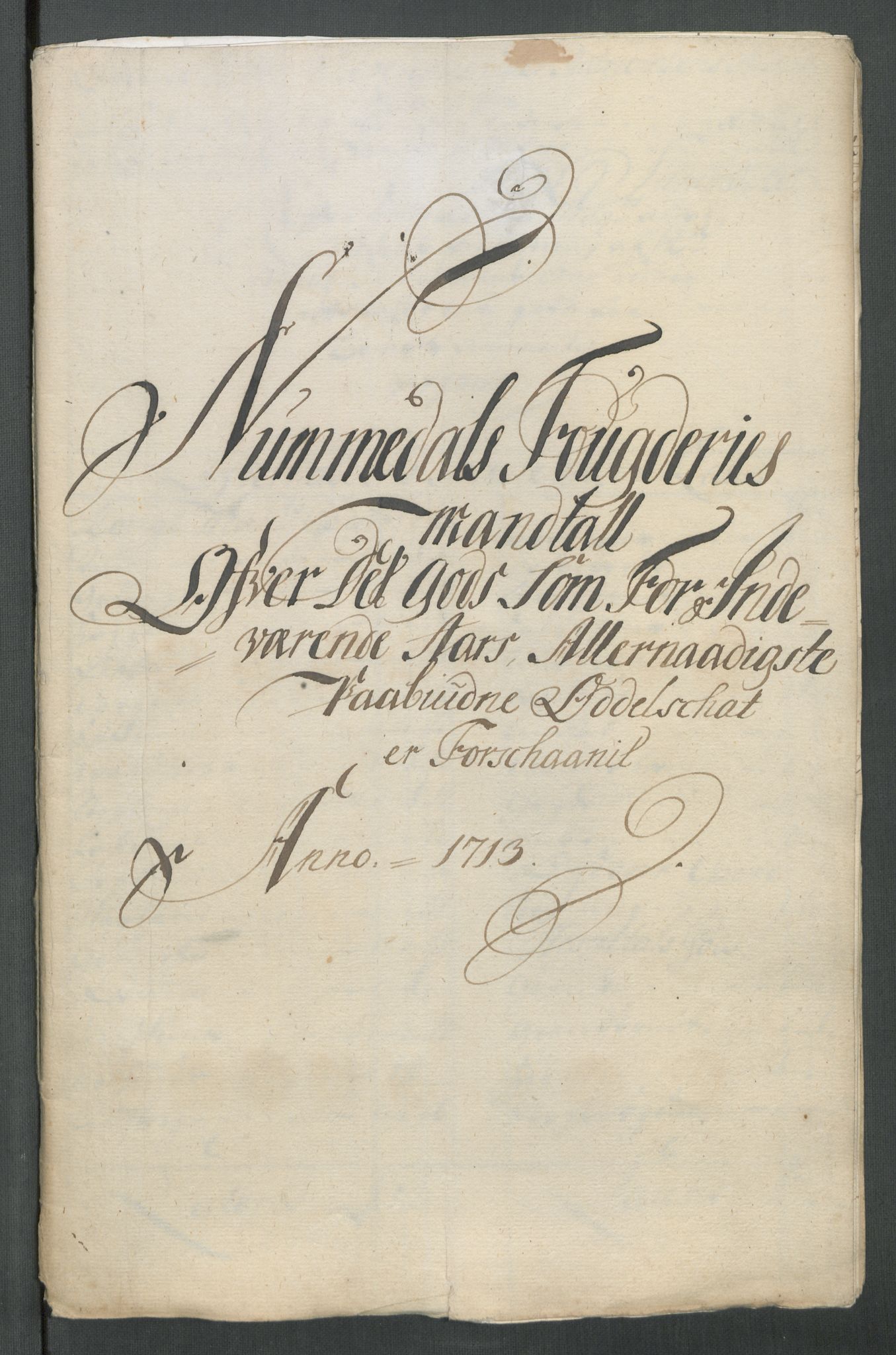 Rentekammeret inntil 1814, Reviderte regnskaper, Fogderegnskap, AV/RA-EA-4092/R64/L4434: Fogderegnskap Namdal, 1713, p. 228