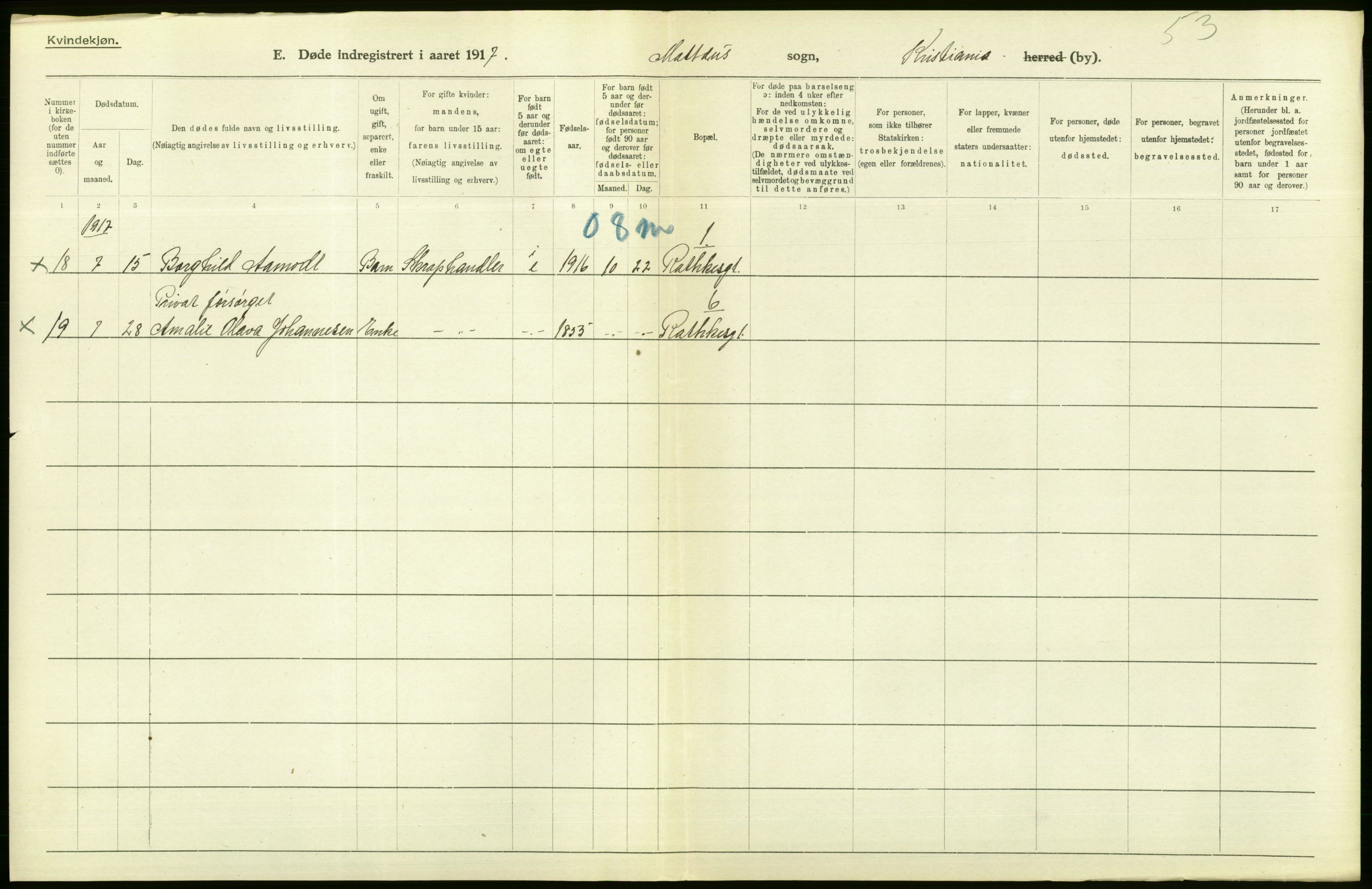 Statistisk sentralbyrå, Sosiodemografiske emner, Befolkning, AV/RA-S-2228/D/Df/Dfb/Dfbg/L0010: Kristiania: Døde, 1917, p. 174