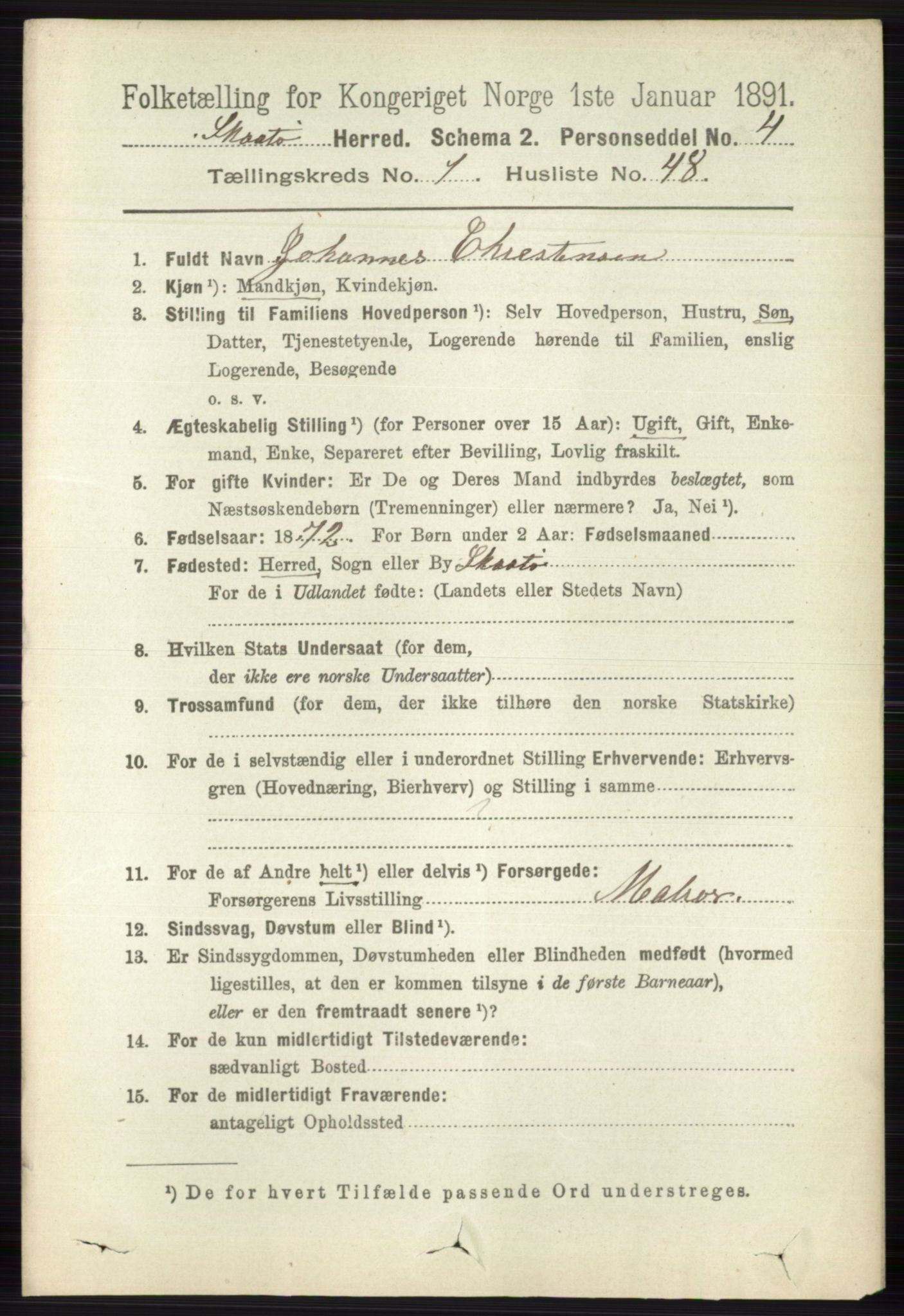 RA, 1891 census for 0815 Skåtøy, 1891, p. 372