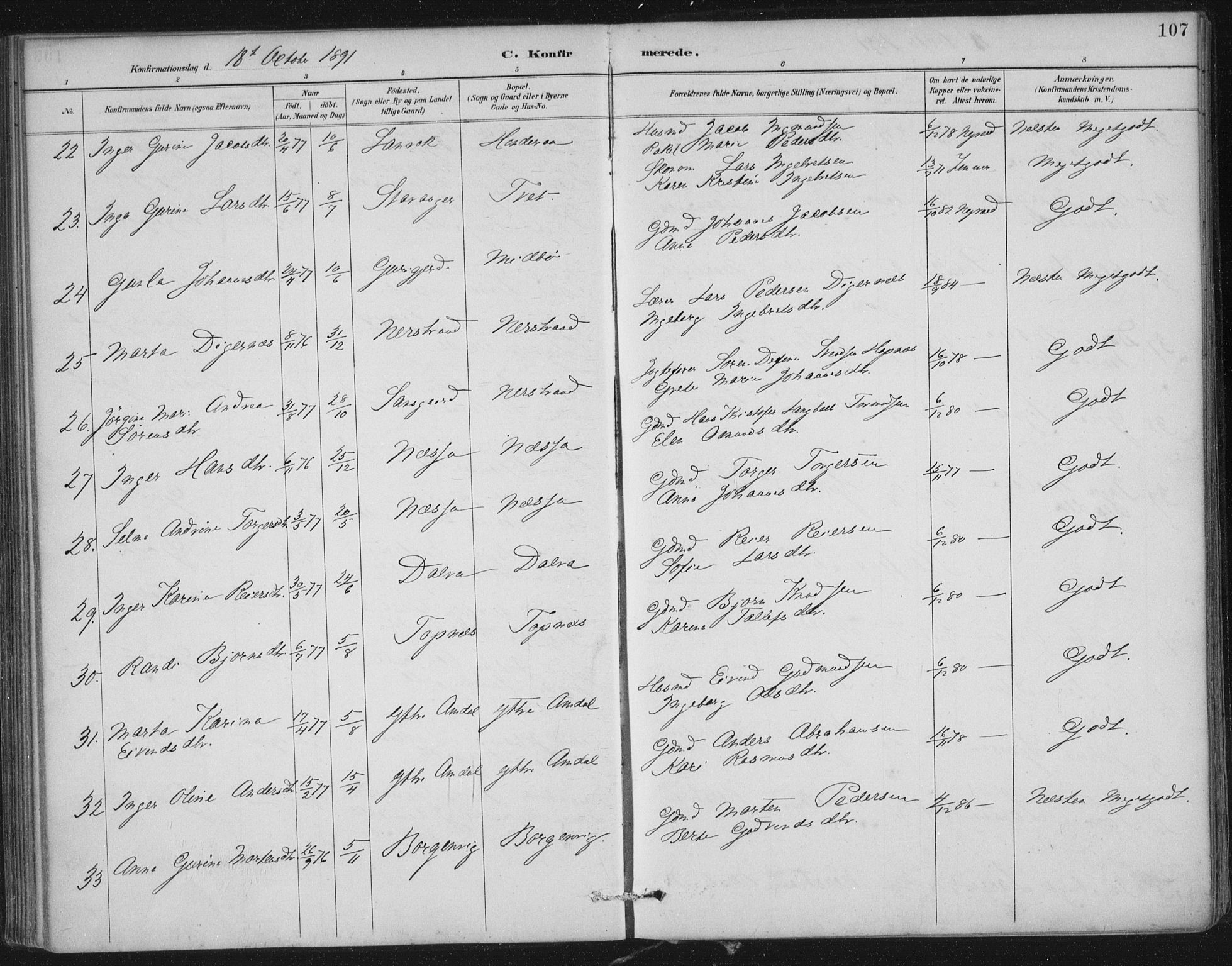 Nedstrand sokneprestkontor, AV/SAST-A-101841/01/IV: Parish register (official) no. A 12, 1887-1915, p. 107