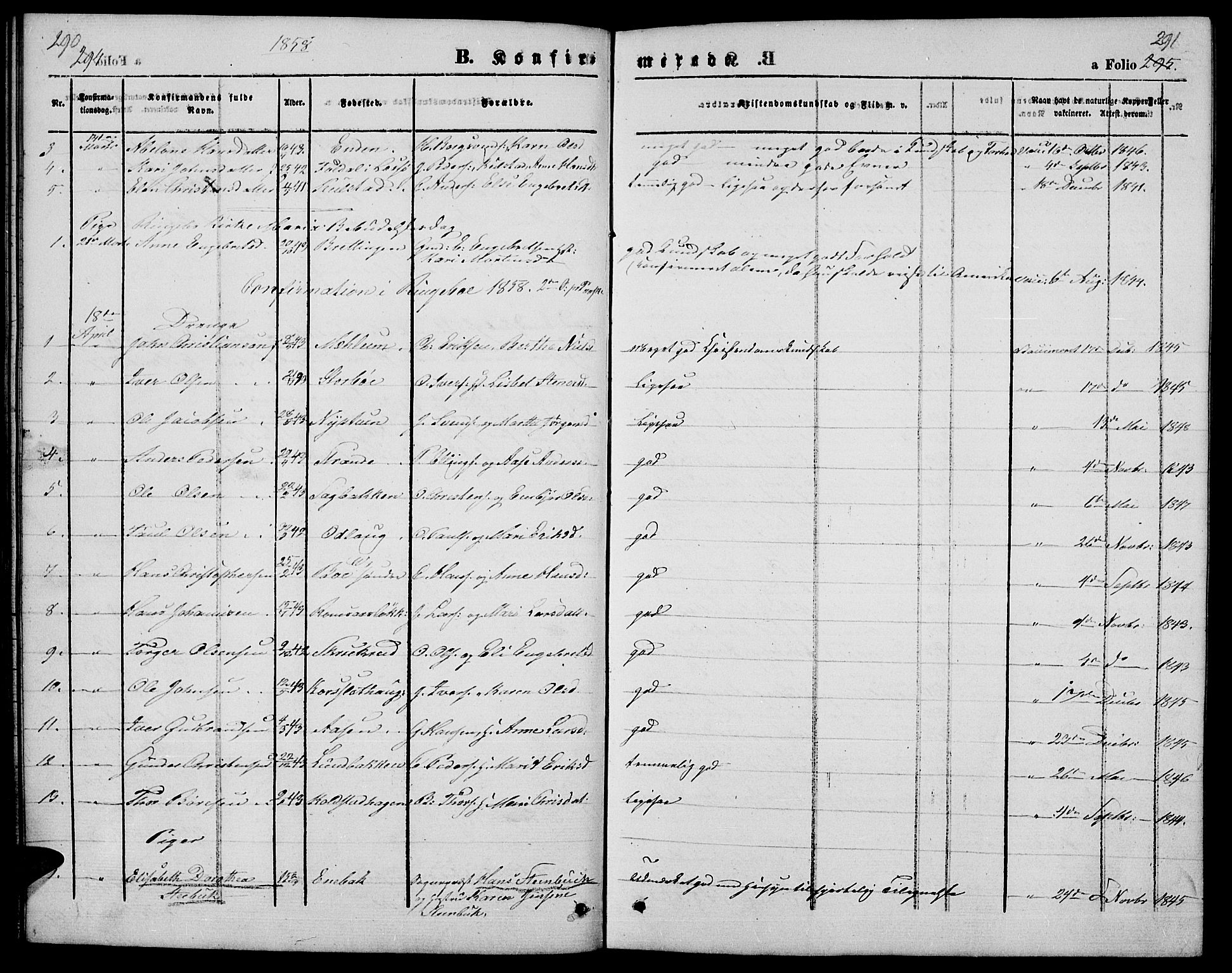 Ringebu prestekontor, SAH/PREST-082/H/Ha/Hab/L0003: Parish register (copy) no. 3, 1854-1866, p. 290-291
