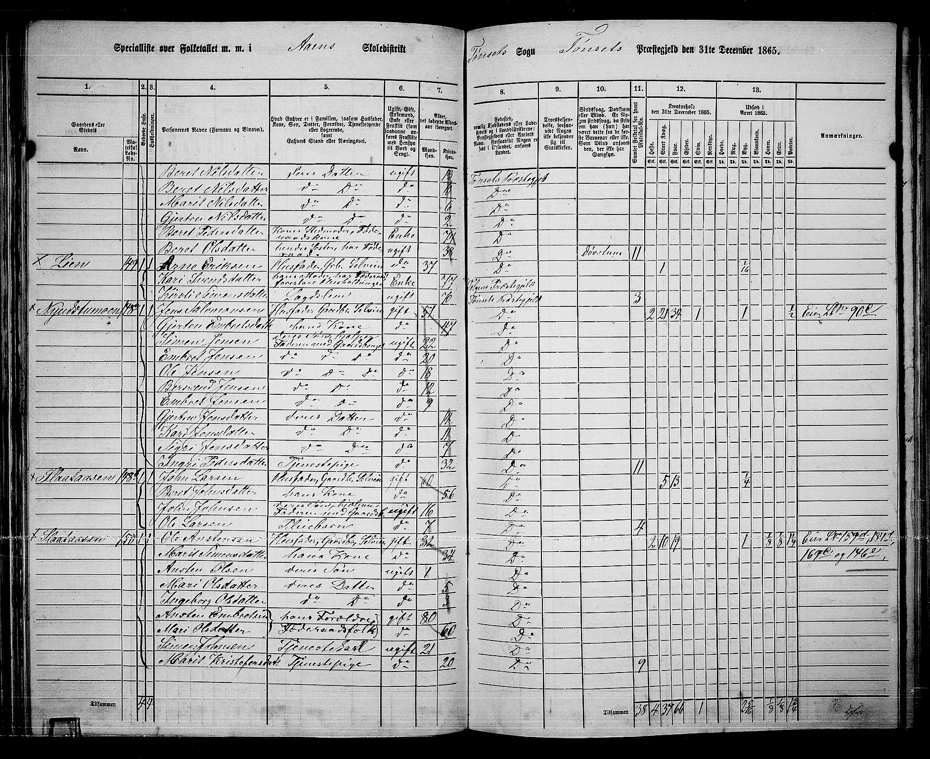 RA, 1865 census for Tynset, 1865, p. 67
