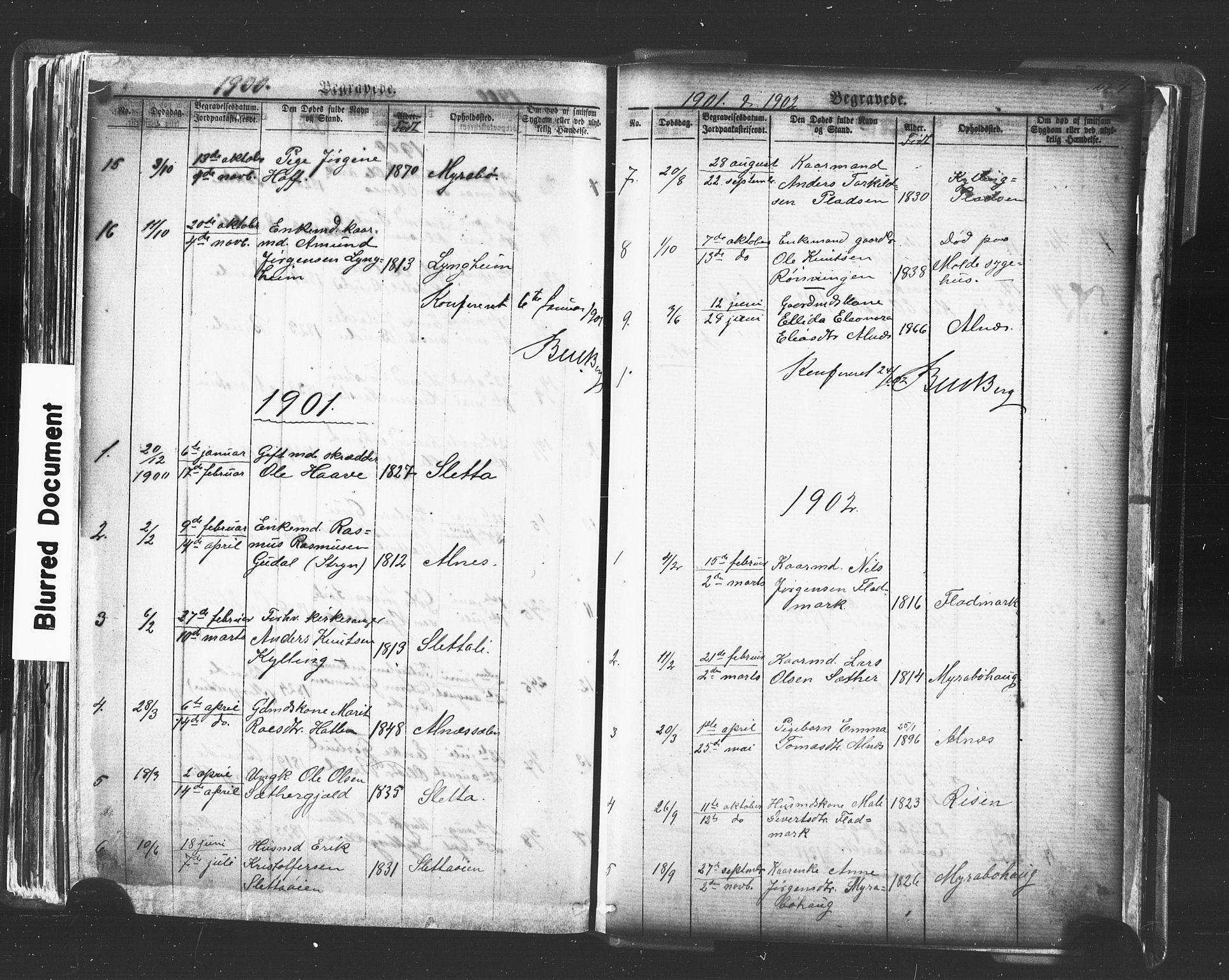 Ministerialprotokoller, klokkerbøker og fødselsregistre - Møre og Romsdal, AV/SAT-A-1454/546/L0596: Parish register (copy) no. 546C02, 1867-1921, p. 254