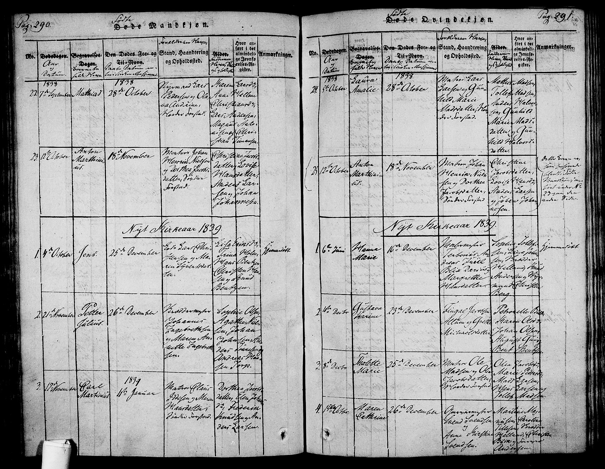Holmestrand kirkebøker, SAKO/A-346/F/Fa/L0001: Parish register (official) no. 1, 1814-1840, p. 290-291