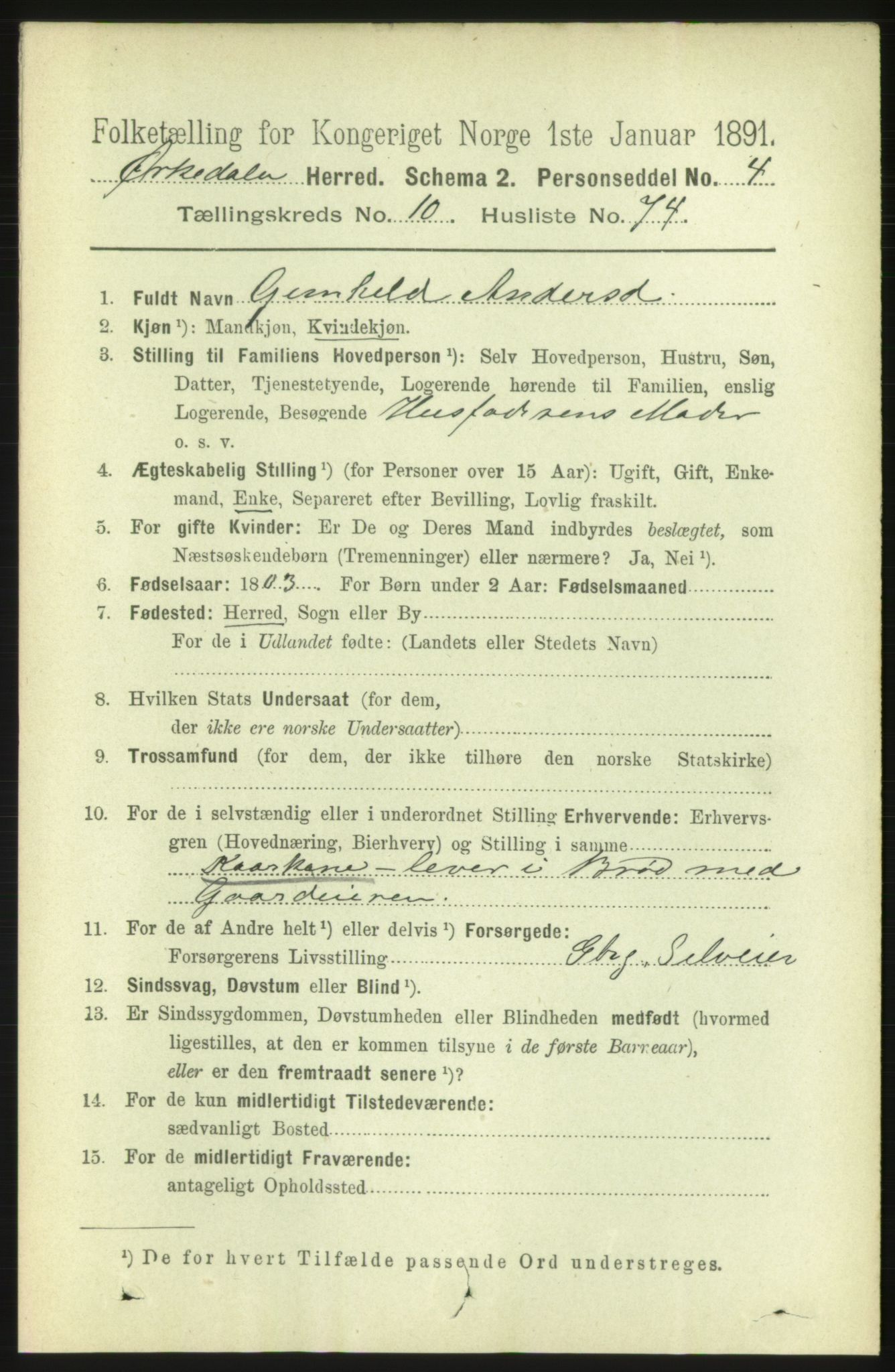 RA, 1891 census for 1638 Orkdal, 1891, p. 5061