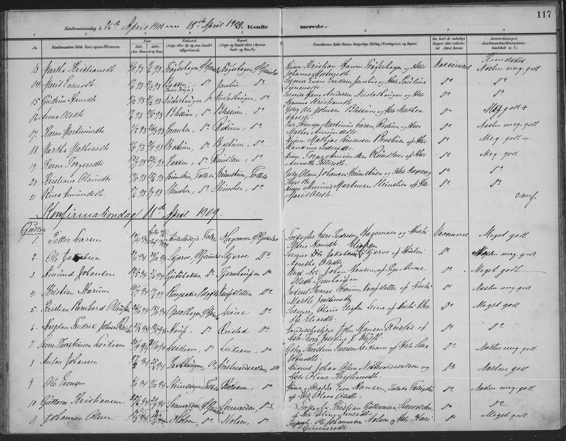 Østre Gausdal prestekontor, SAH/PREST-092/H/Ha/Haa/L0004: Parish register (official) no. 4, 1898-1914, p. 117