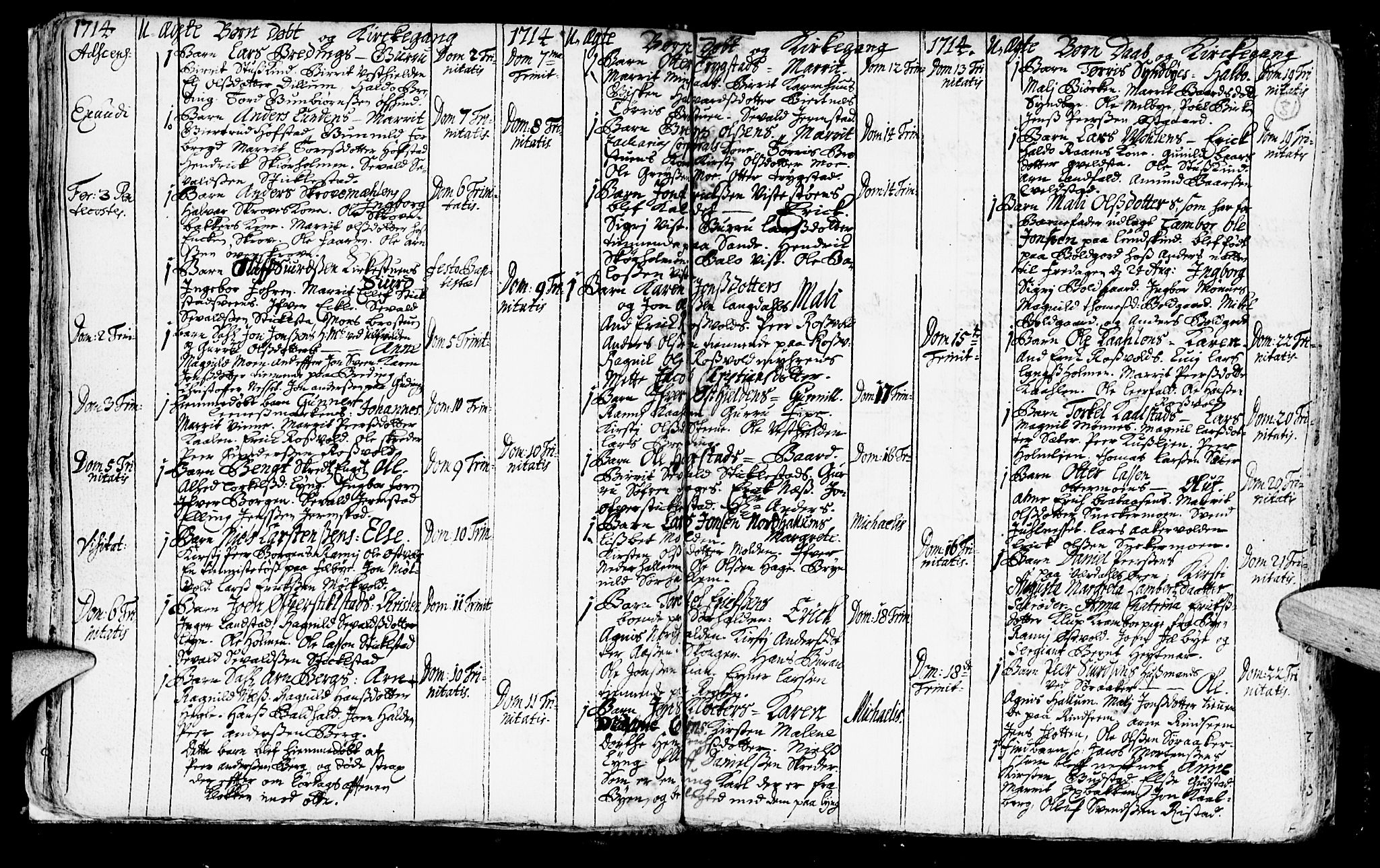 Ministerialprotokoller, klokkerbøker og fødselsregistre - Nord-Trøndelag, SAT/A-1458/723/L0230: Parish register (official) no. 723A01, 1705-1747, p. 31